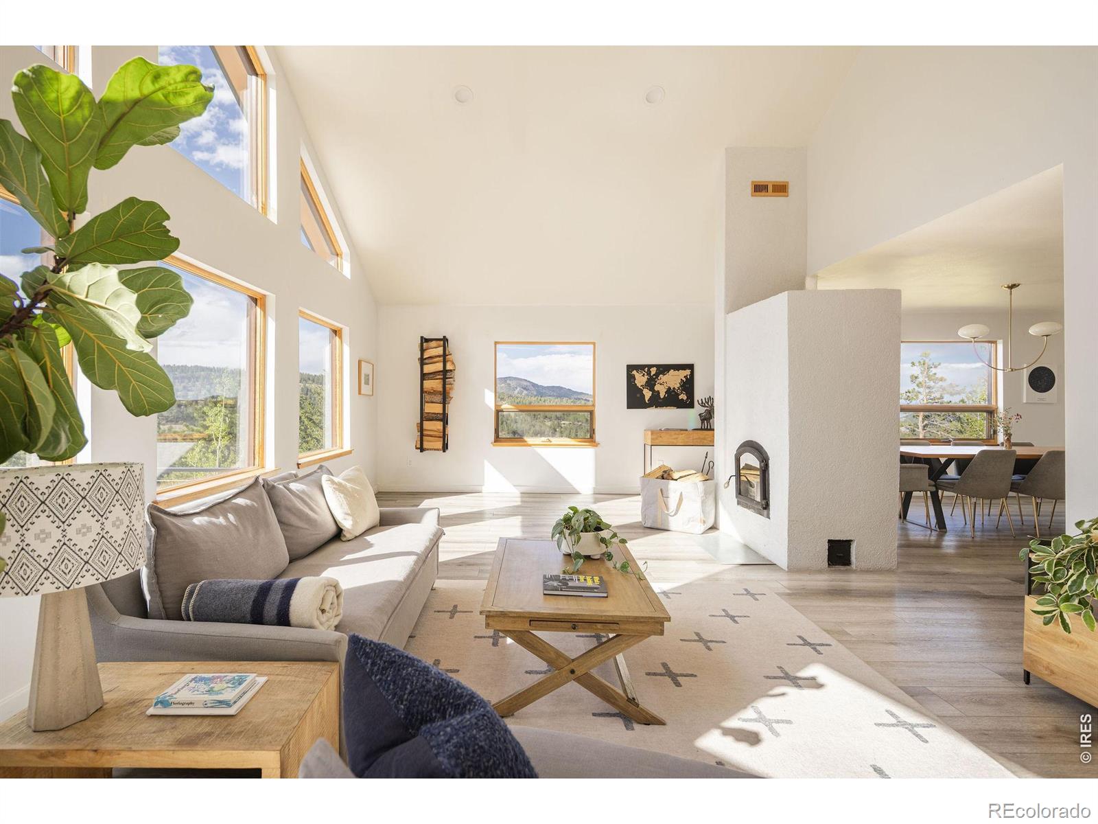 MLS Image #6 for 103  last chance court,nederland, Colorado