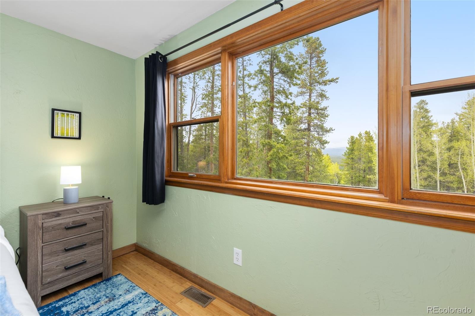 MLS Image #15 for 201  genevas way,black hawk, Colorado