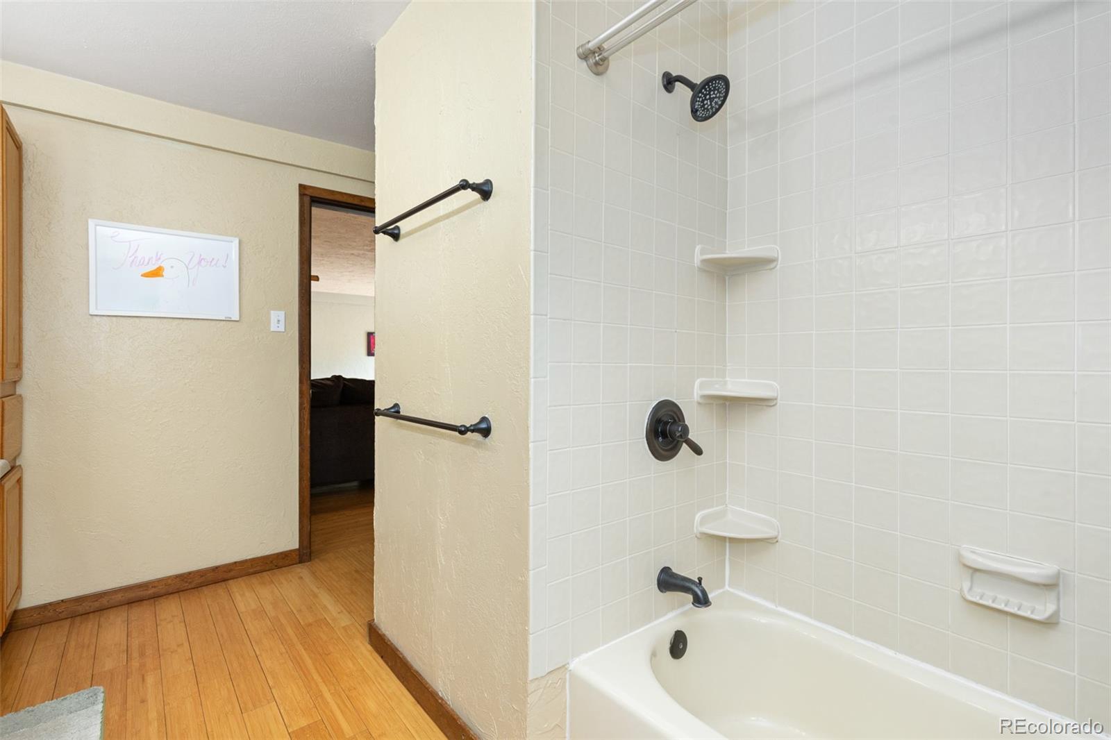 MLS Image #17 for 201  genevas way,black hawk, Colorado