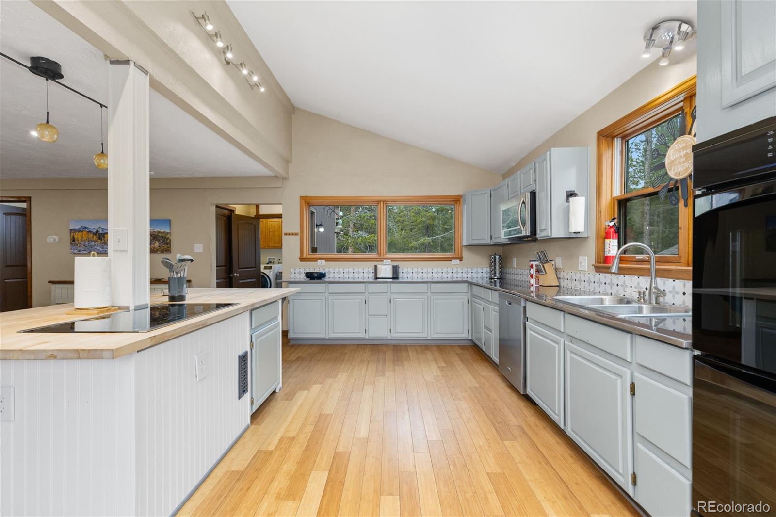 MLS Image #5 for 201  genevas way,black hawk, Colorado