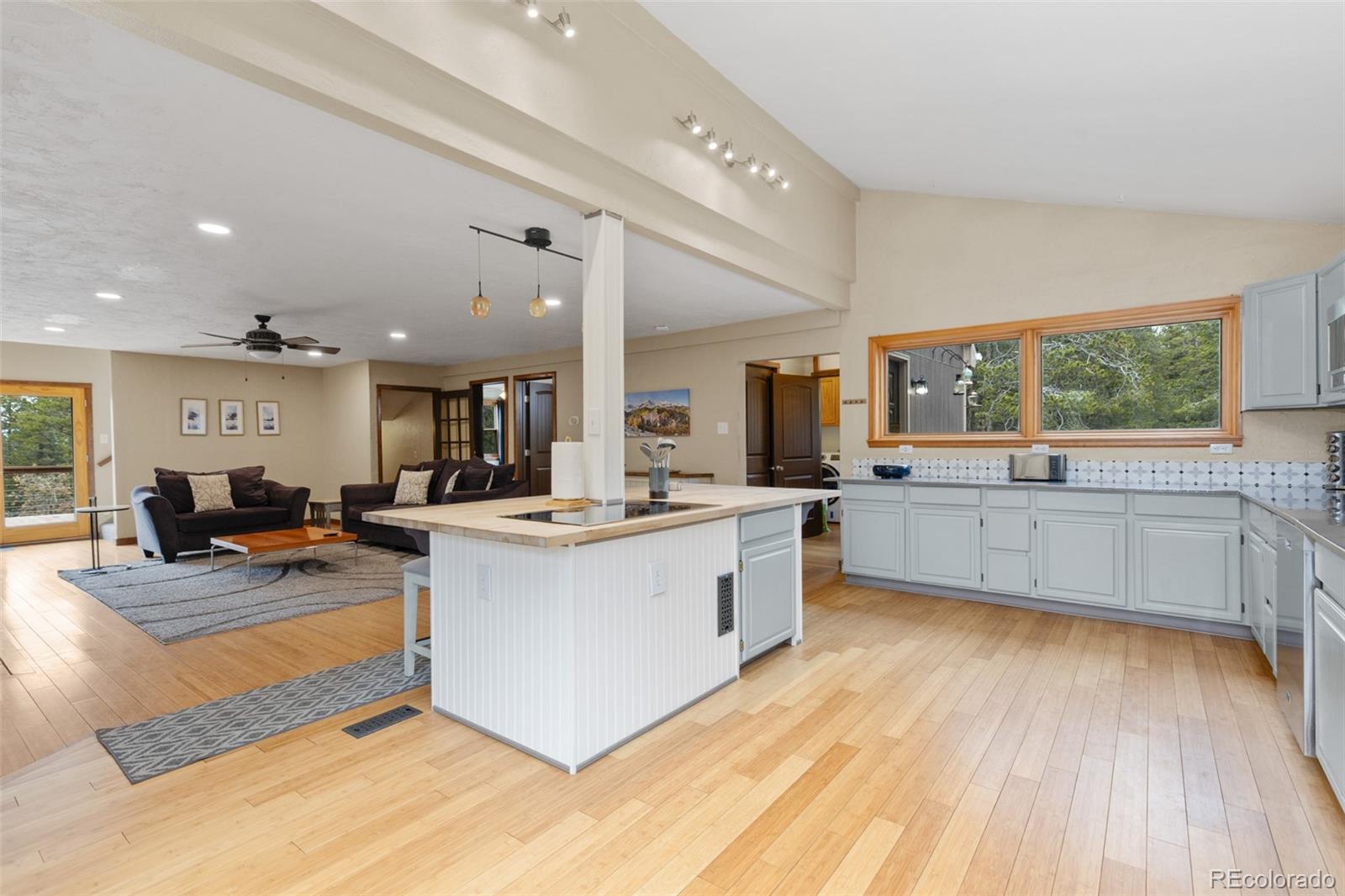 MLS Image #6 for 201  genevas way,black hawk, Colorado