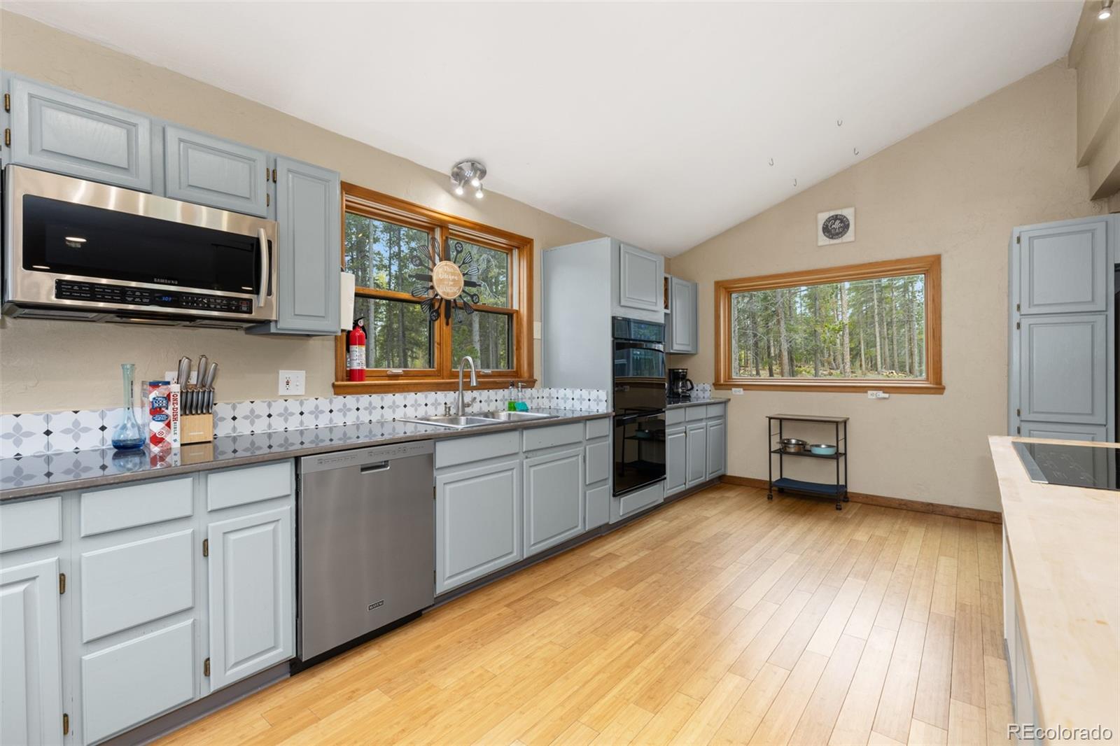 MLS Image #7 for 201  genevas way,black hawk, Colorado