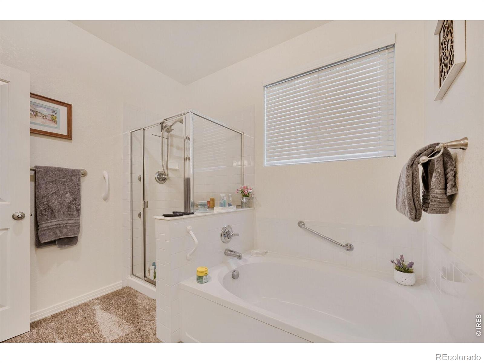MLS Image #19 for 537  peregrine circle,longmont, Colorado