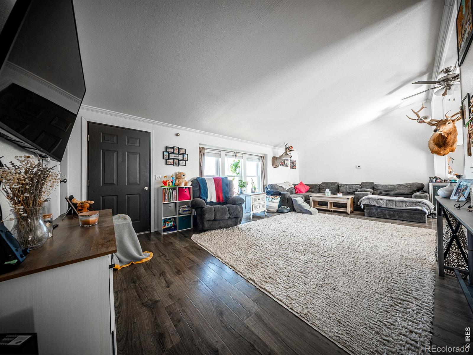 MLS Image #11 for 236  priddy street,pierce, Colorado