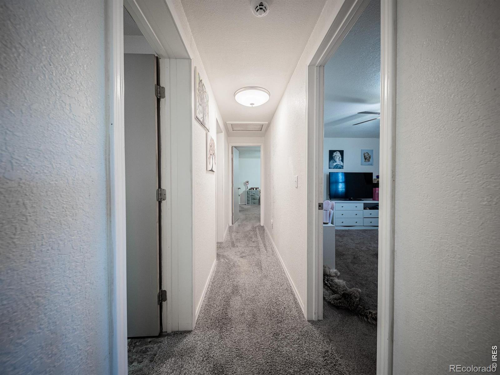 MLS Image #12 for 236  priddy street,pierce, Colorado