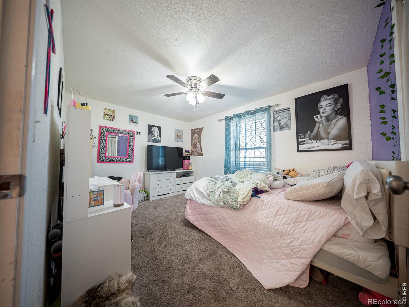 MLS Image #14 for 236  priddy street,pierce, Colorado
