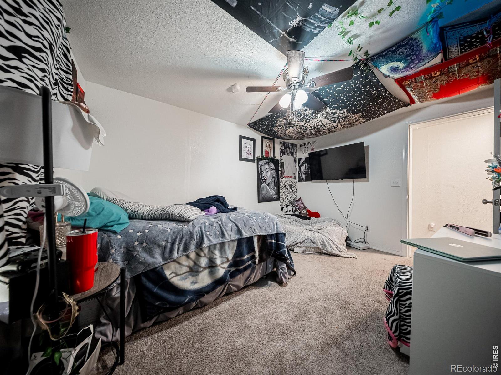 MLS Image #17 for 236  priddy street,pierce, Colorado