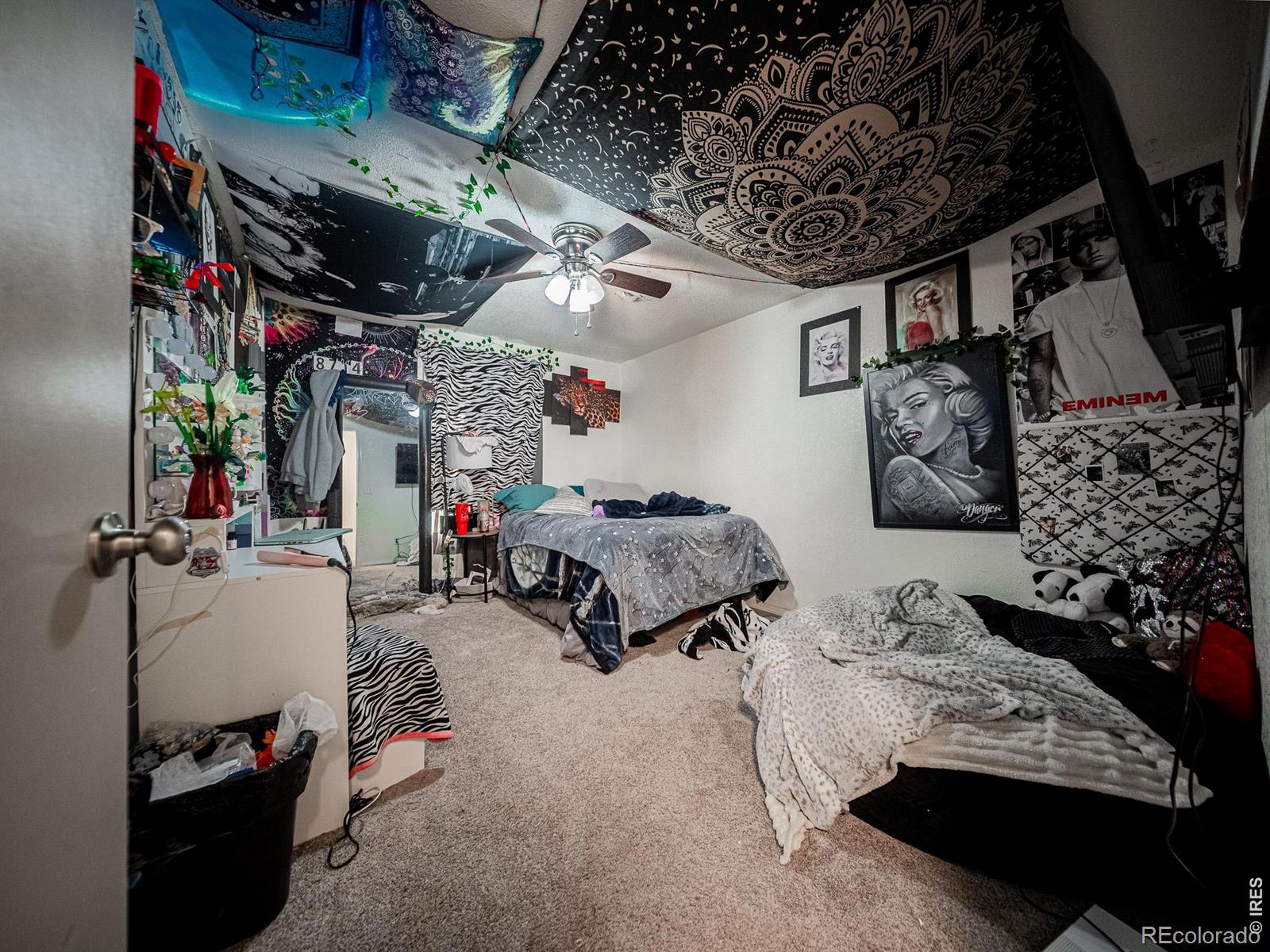 MLS Image #18 for 236  priddy street,pierce, Colorado