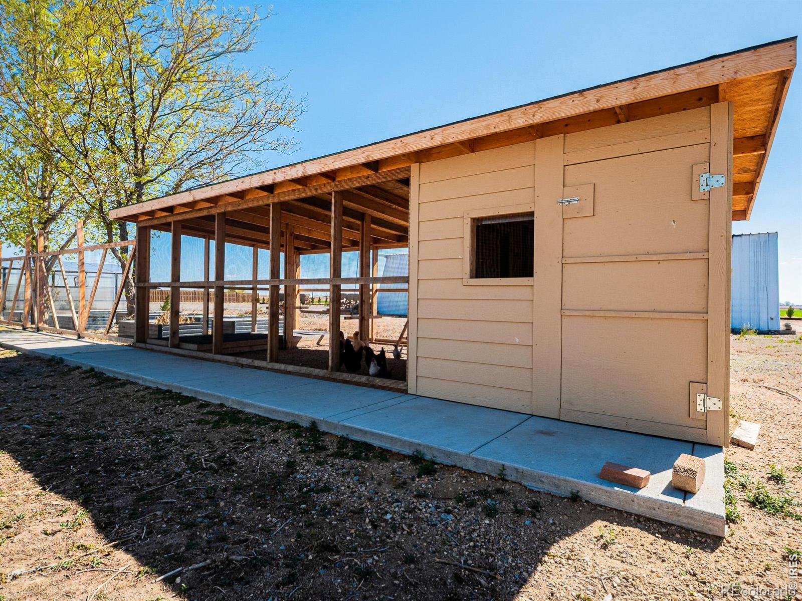 MLS Image #35 for 236  priddy street,pierce, Colorado