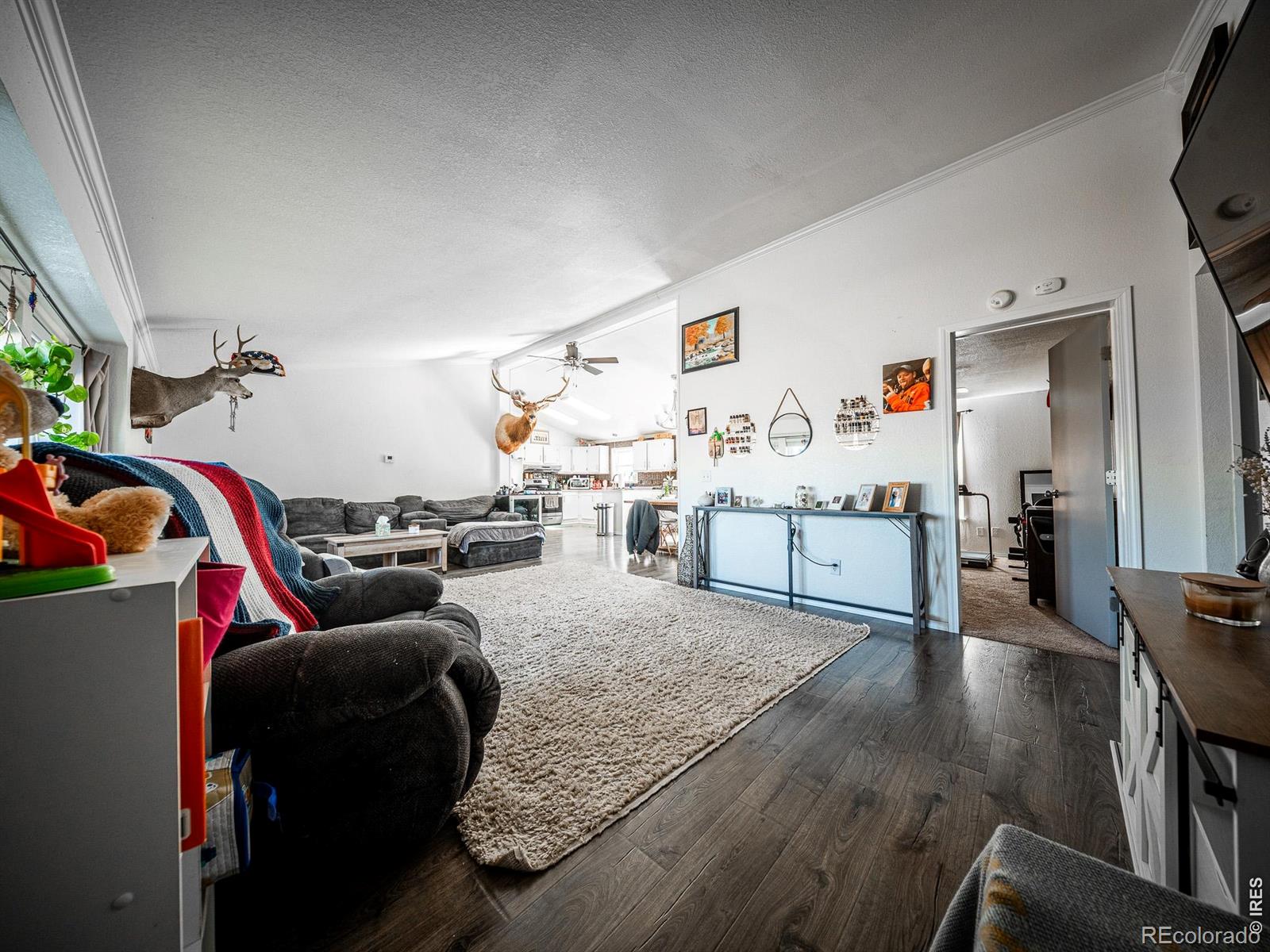 MLS Image #5 for 236  priddy street,pierce, Colorado