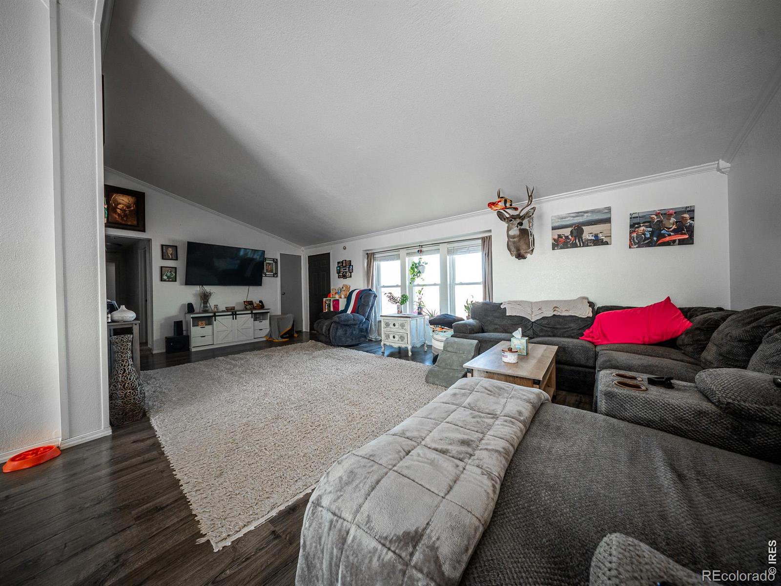 MLS Image #6 for 236  priddy street,pierce, Colorado