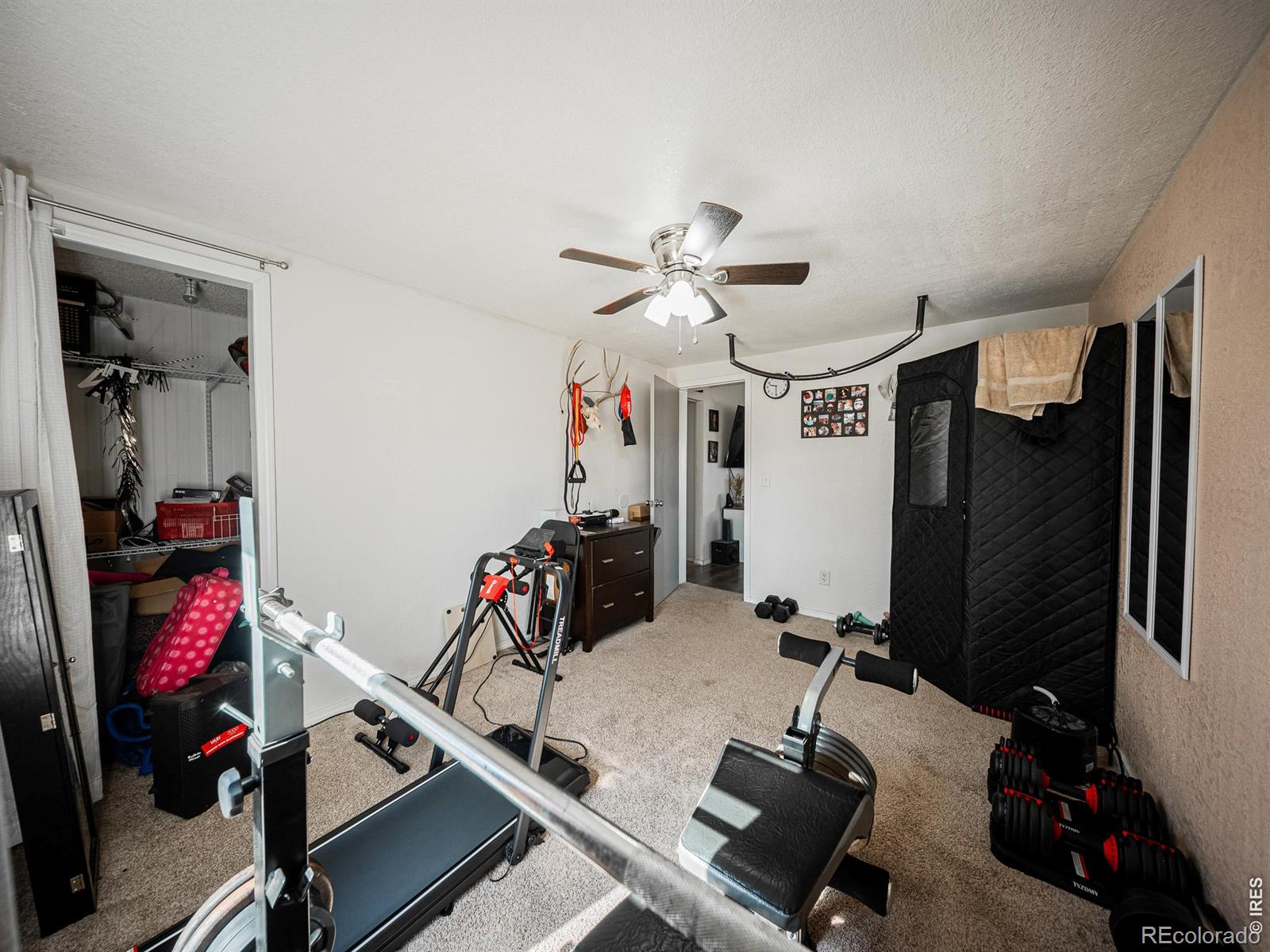 MLS Image #8 for 236  priddy street,pierce, Colorado