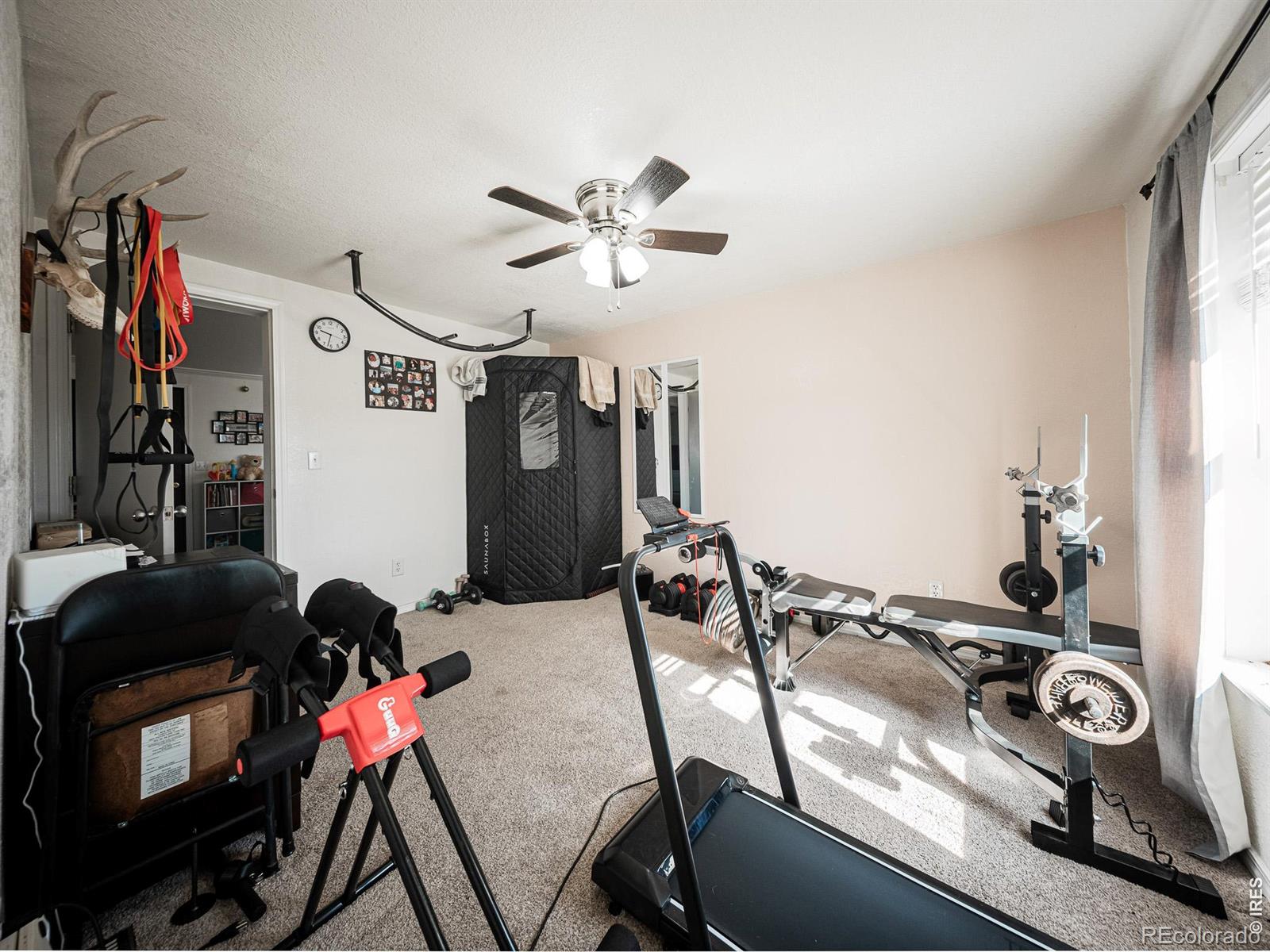 MLS Image #9 for 236  priddy street,pierce, Colorado