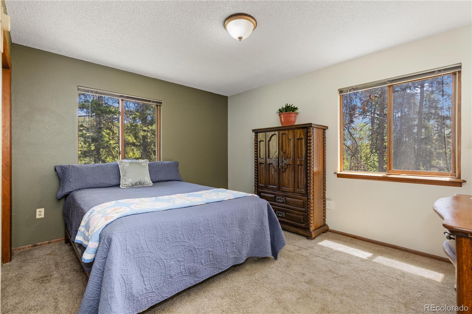 MLS Image #10 for 10868  norton avenue,conifer, Colorado