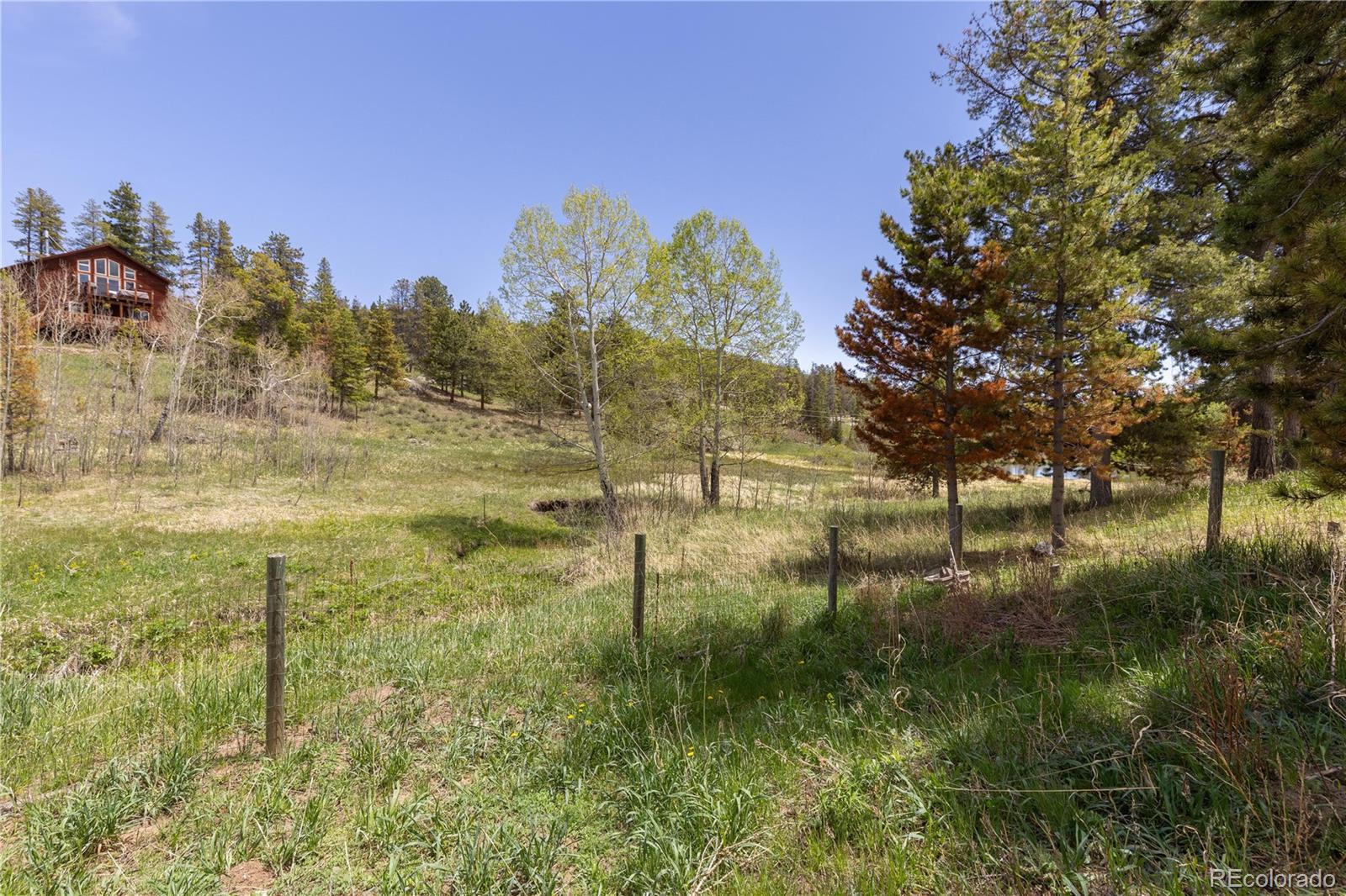 MLS Image #26 for 10868  norton avenue,conifer, Colorado