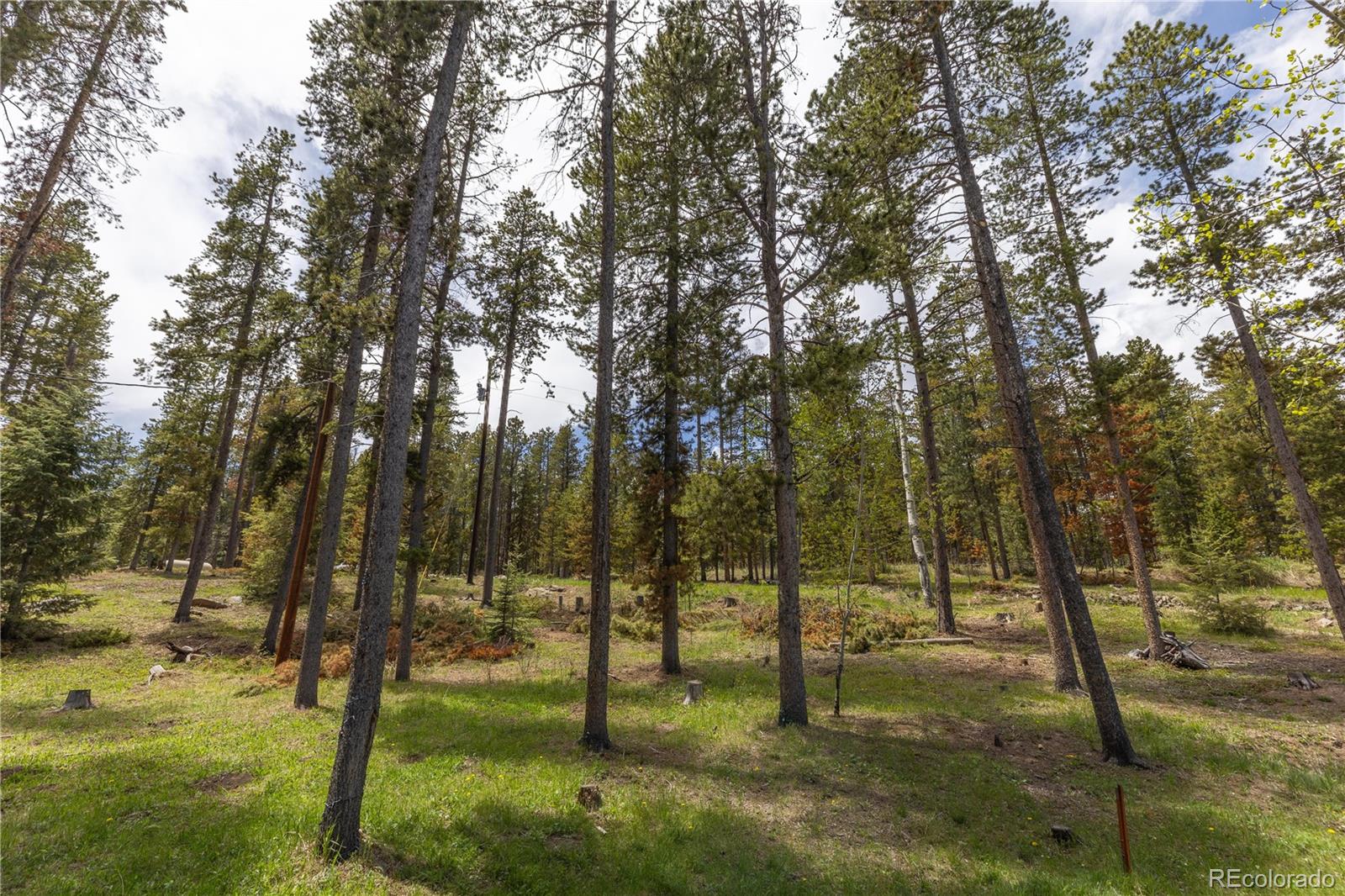 MLS Image #27 for 10868  norton avenue,conifer, Colorado
