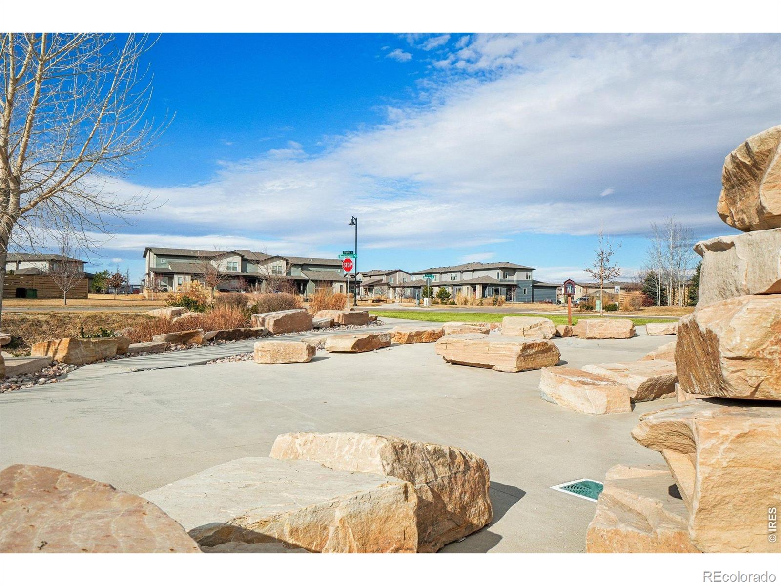 MLS Image #29 for 5672  jedidiah drive,timnath, Colorado
