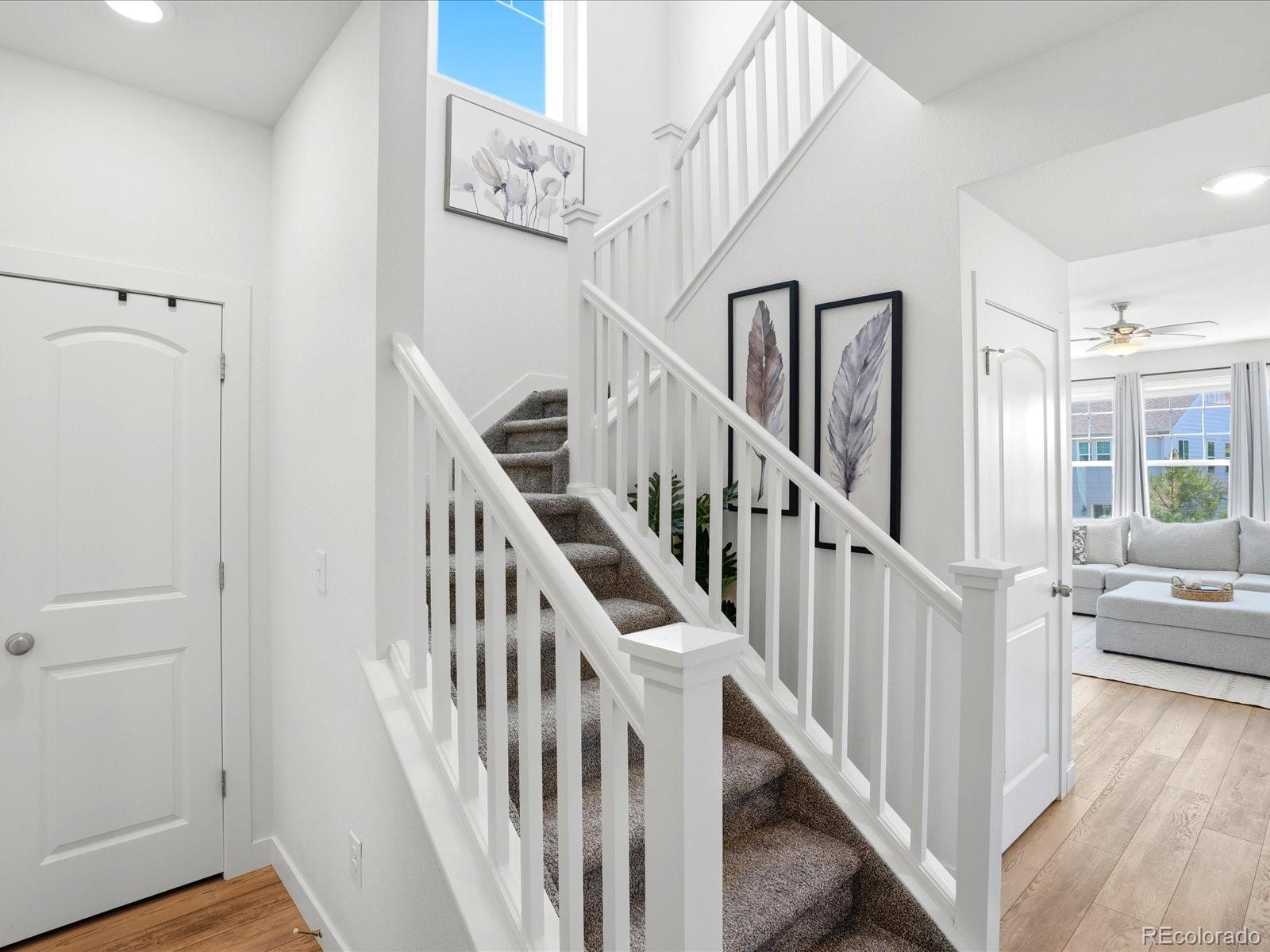 MLS Image #22 for 4069  fortune lane,castle rock, Colorado