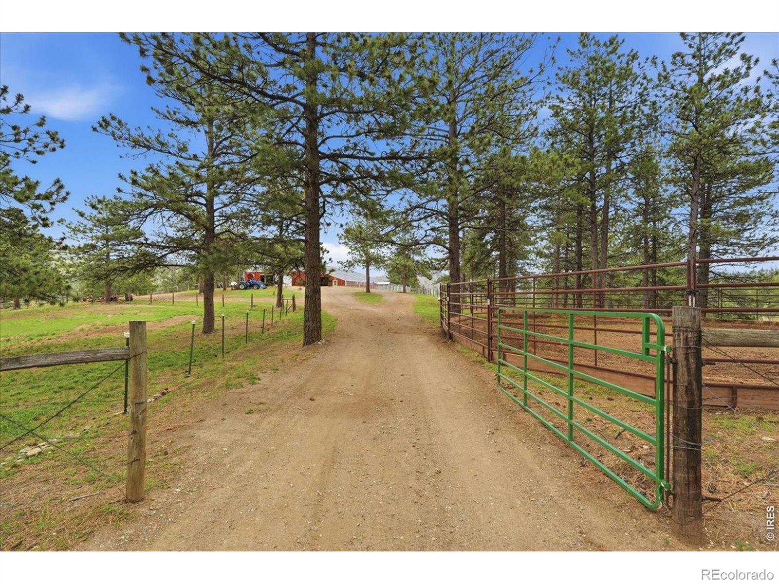 MLS Image #1 for 89  aspen leaf lane,bellvue, Colorado
