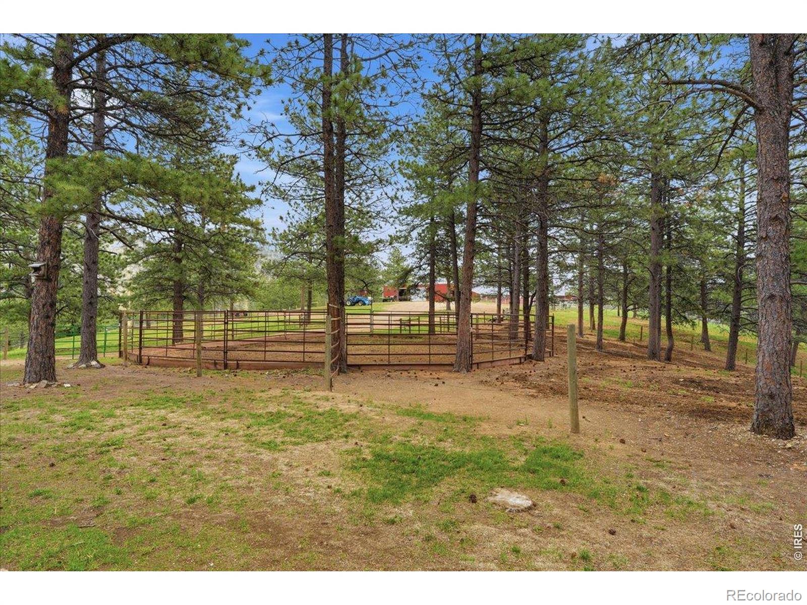 MLS Image #12 for 89  aspen leaf lane,bellvue, Colorado