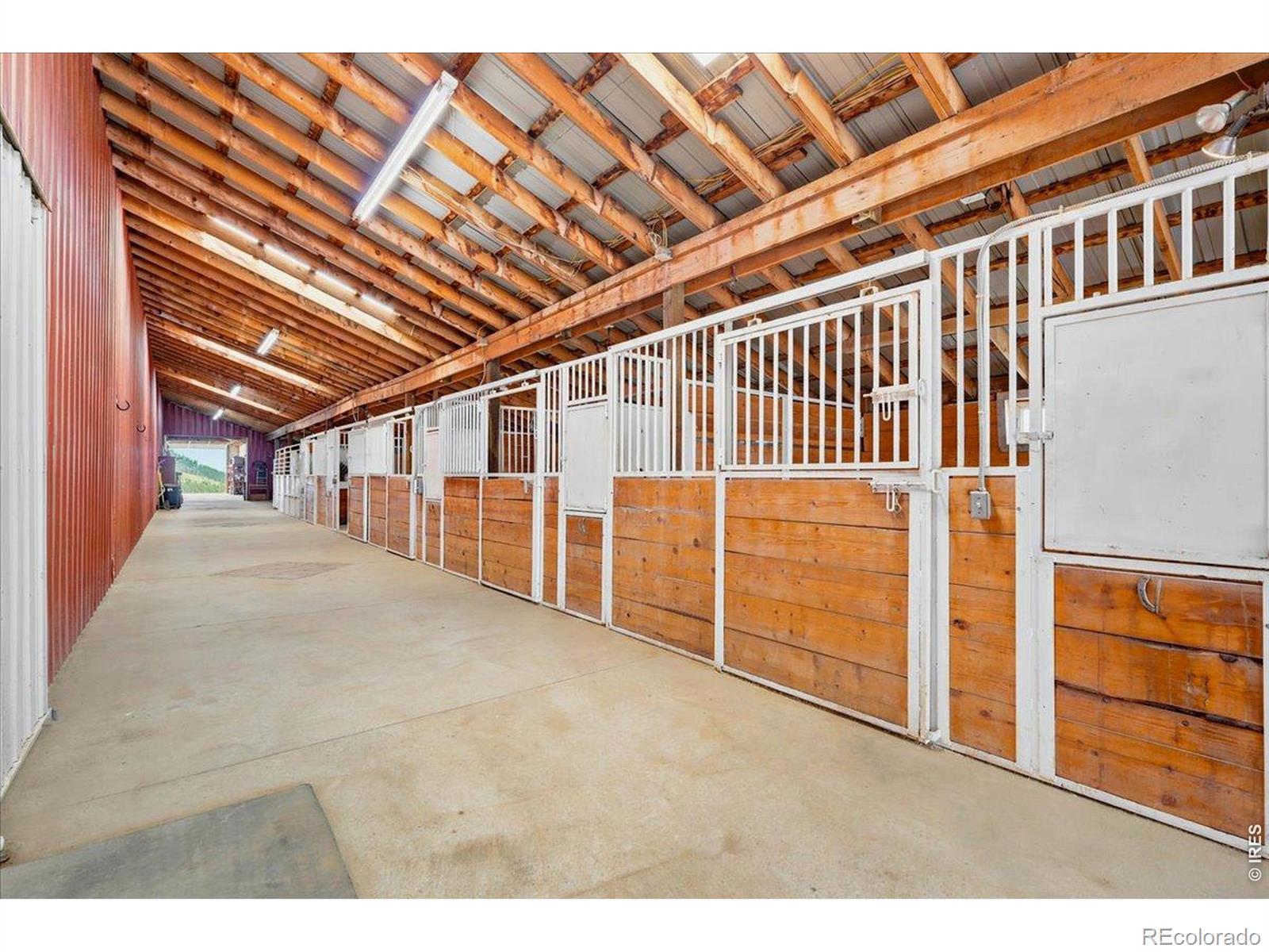 MLS Image #6 for 89  aspen leaf lane,bellvue, Colorado