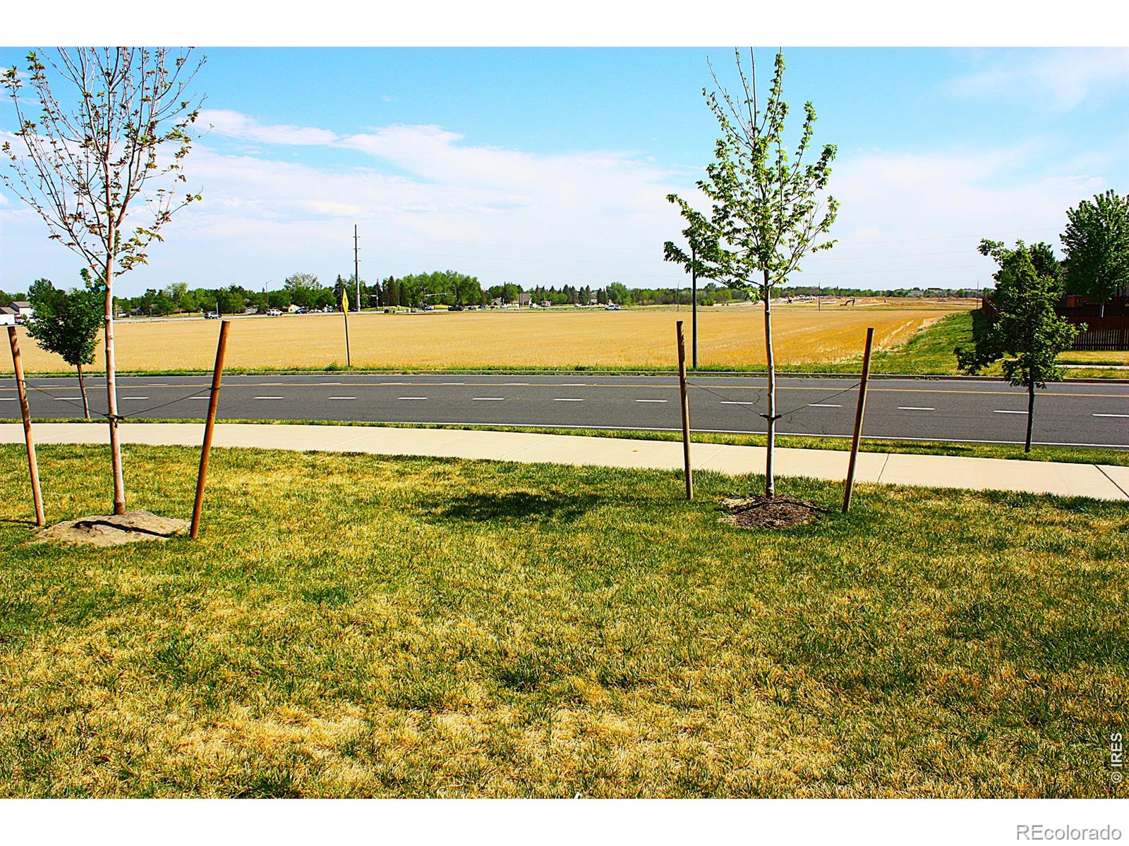 MLS Image #4 for 2960  kincaid drive,loveland, Colorado