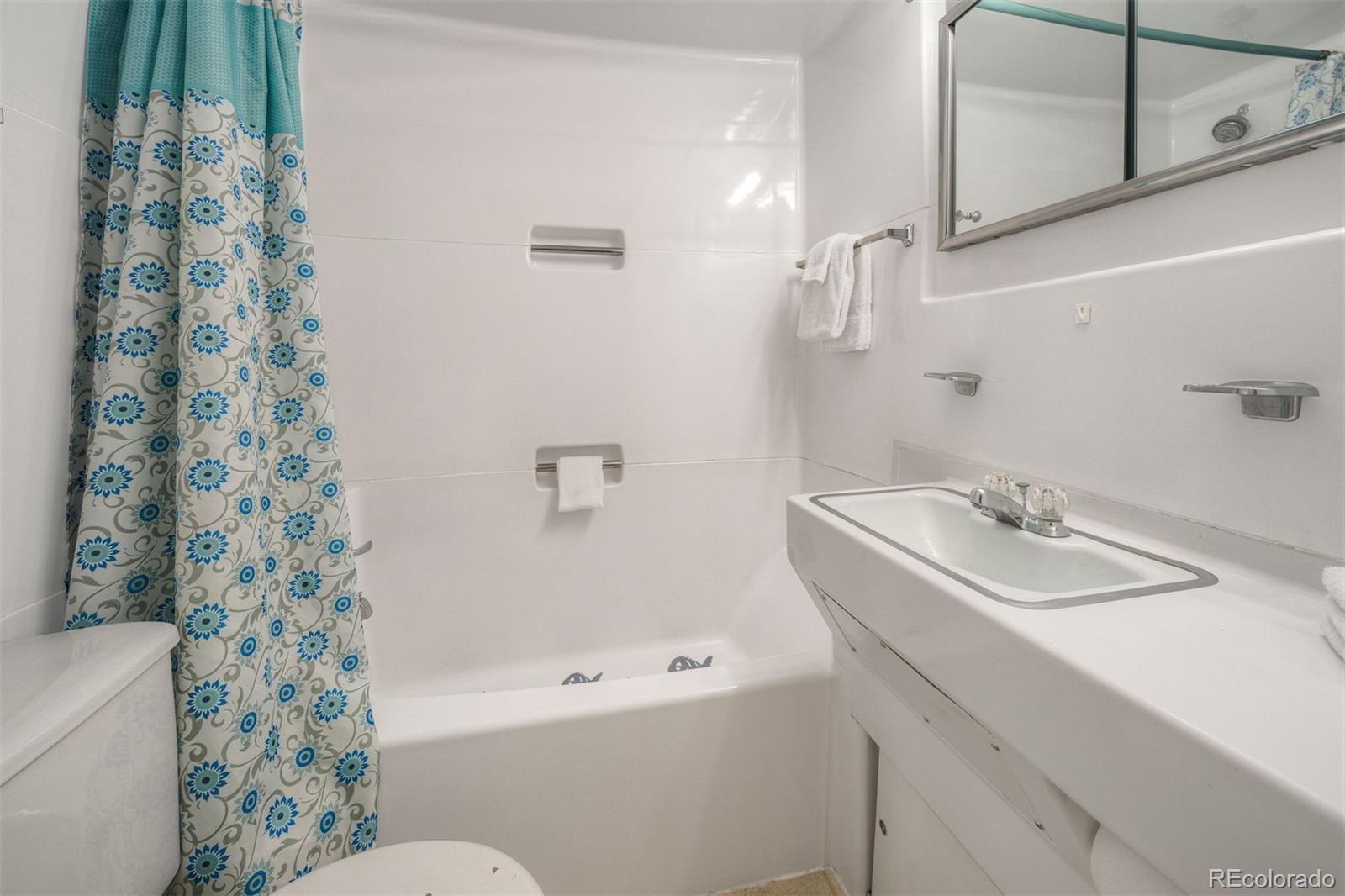 MLS Image #10 for 220 e la bonte street,dillon, Colorado