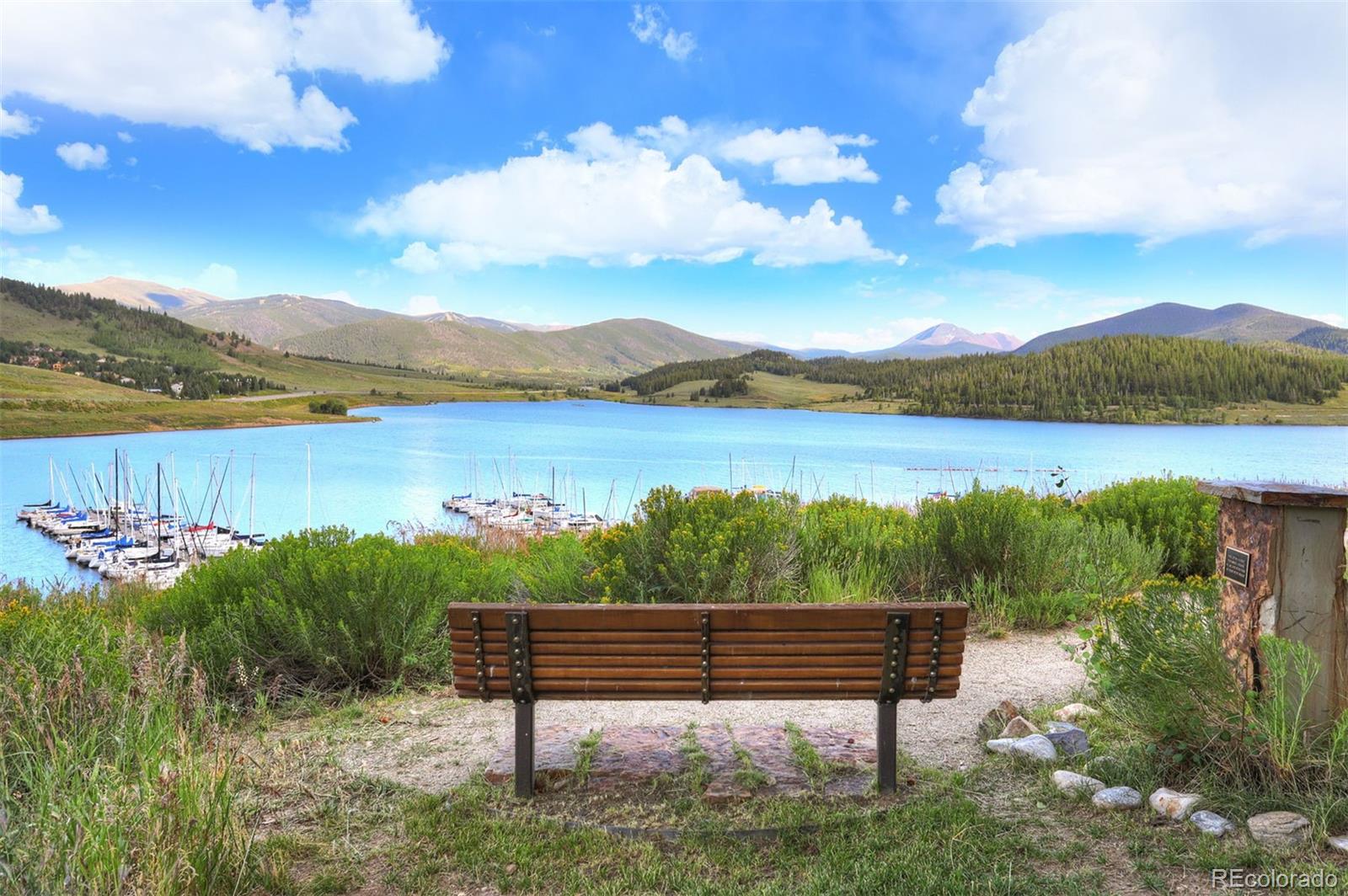 MLS Image #28 for 220 e la bonte street,dillon, Colorado