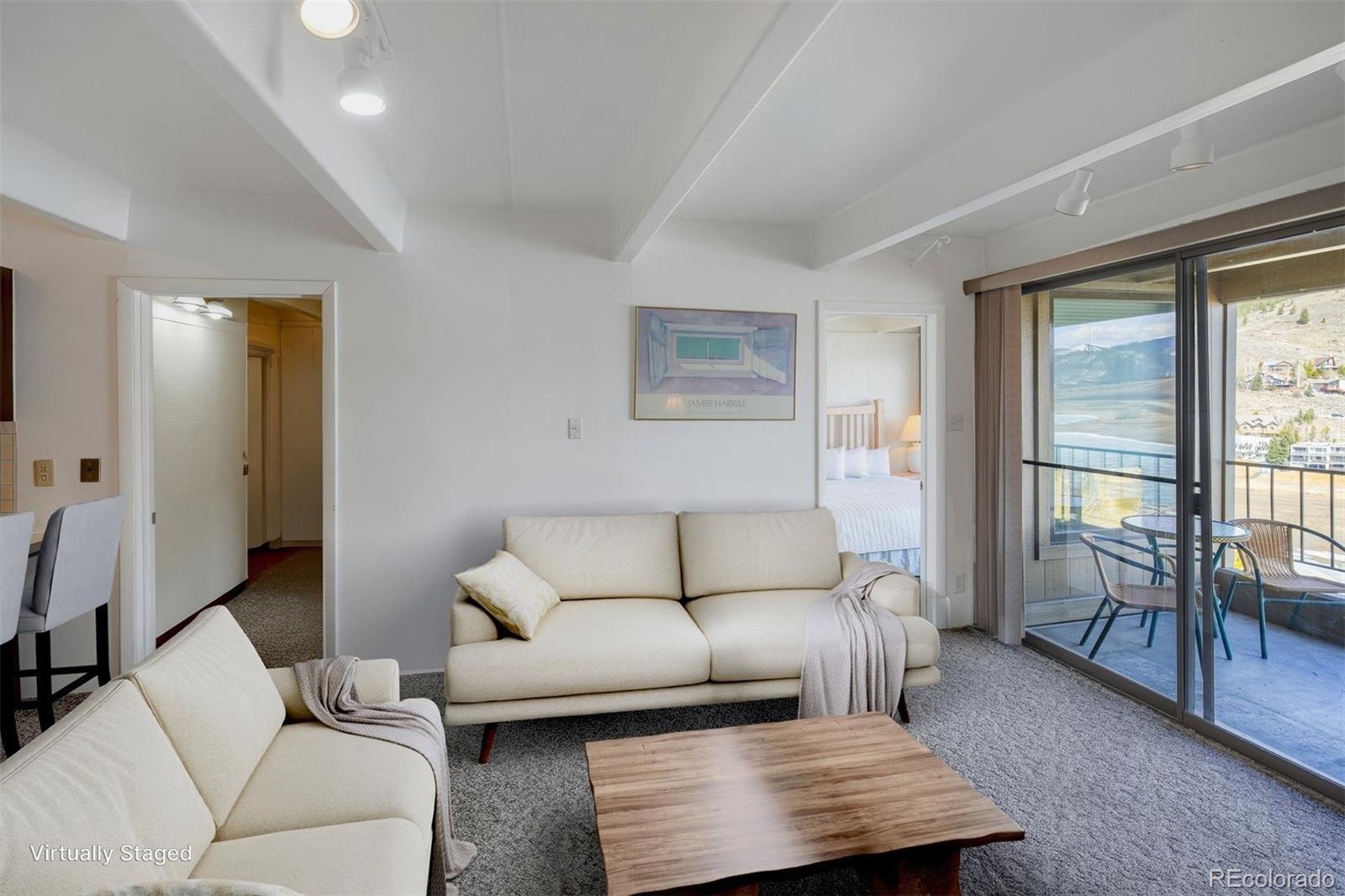 MLS Image #3 for 220 e la bonte street,dillon, Colorado