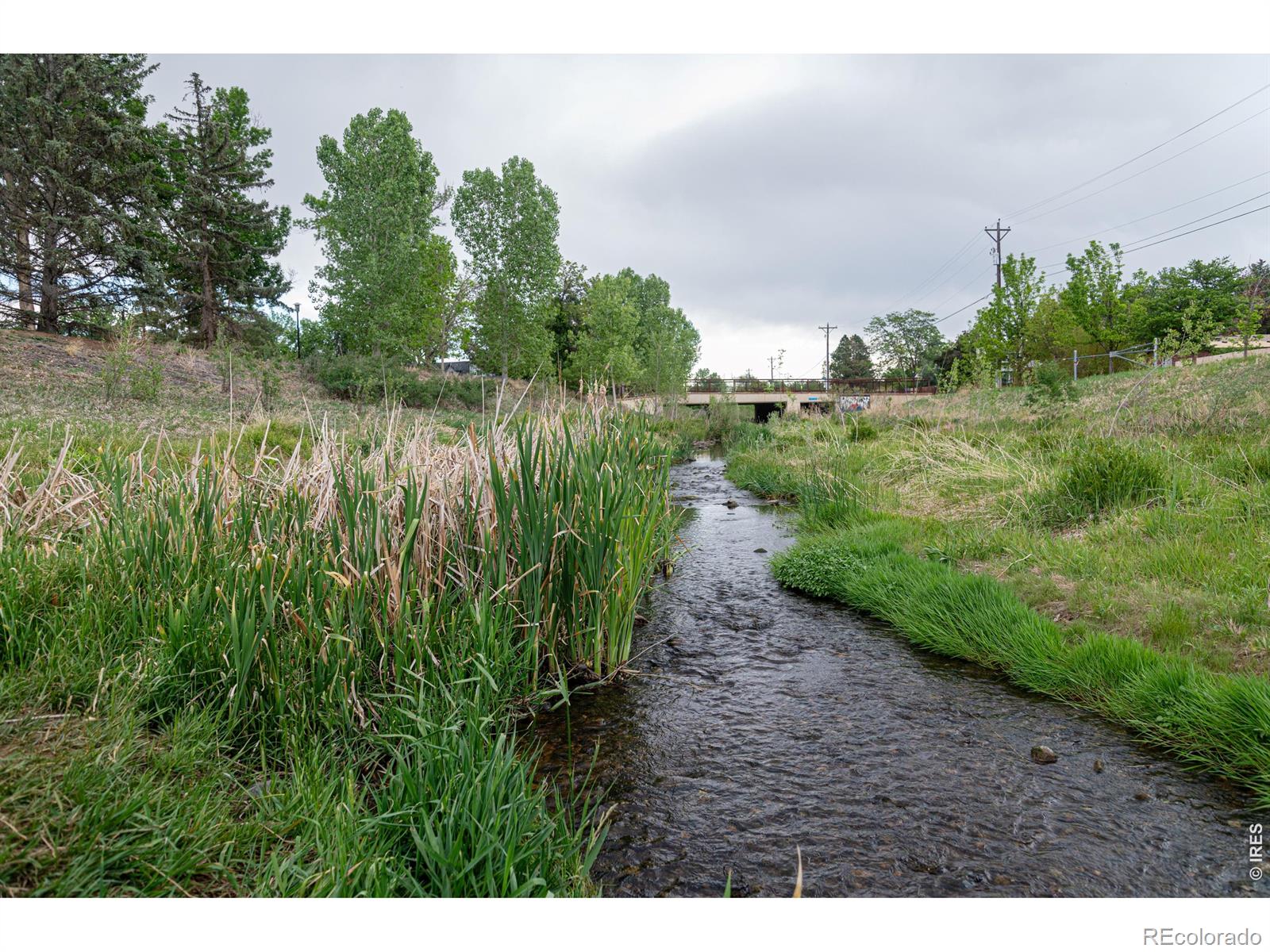 MLS Image #20 for 14 s gay drive,longmont, Colorado
