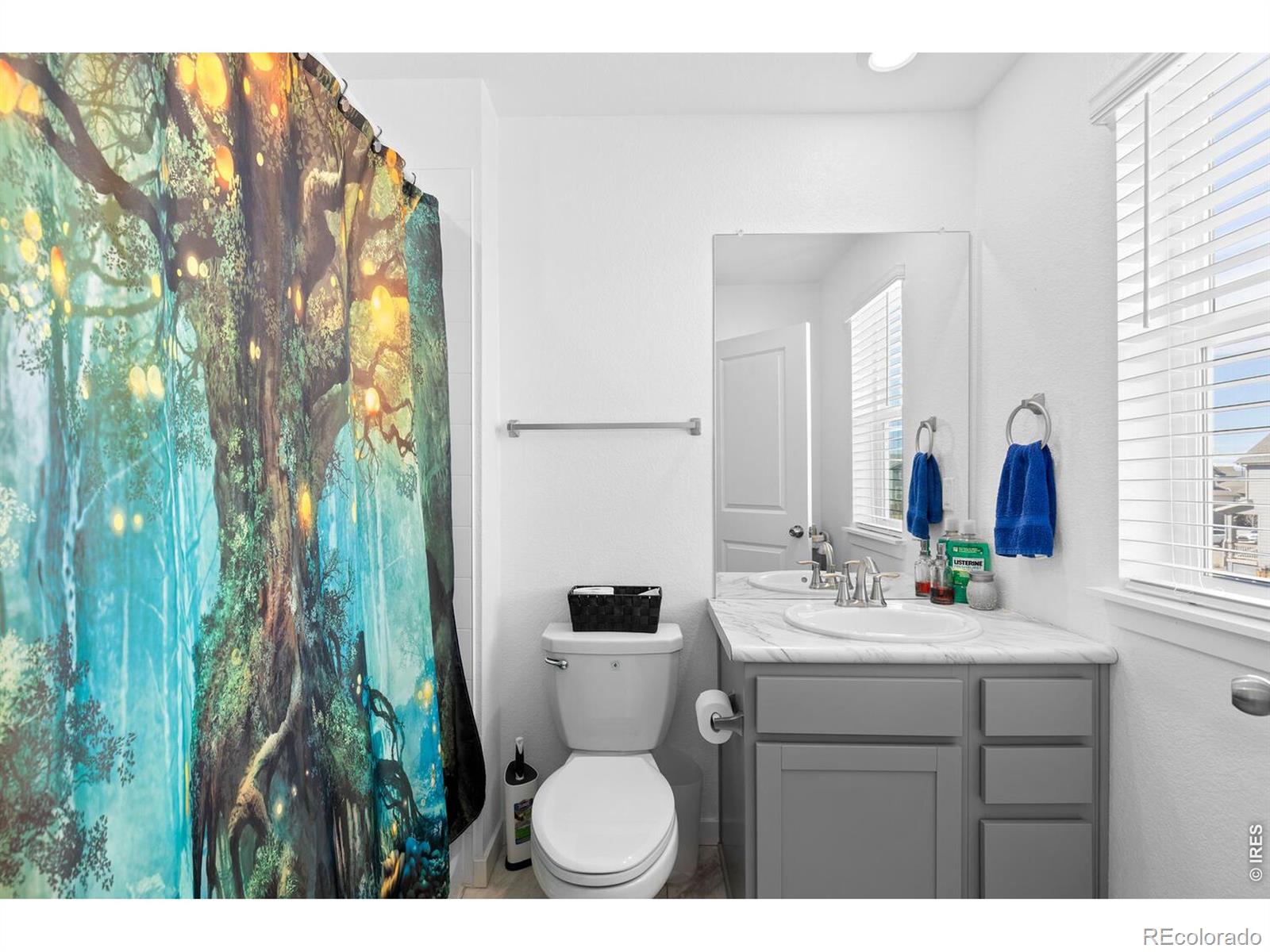 MLS Image #38 for 13284 e 109th avenue,commerce city, Colorado