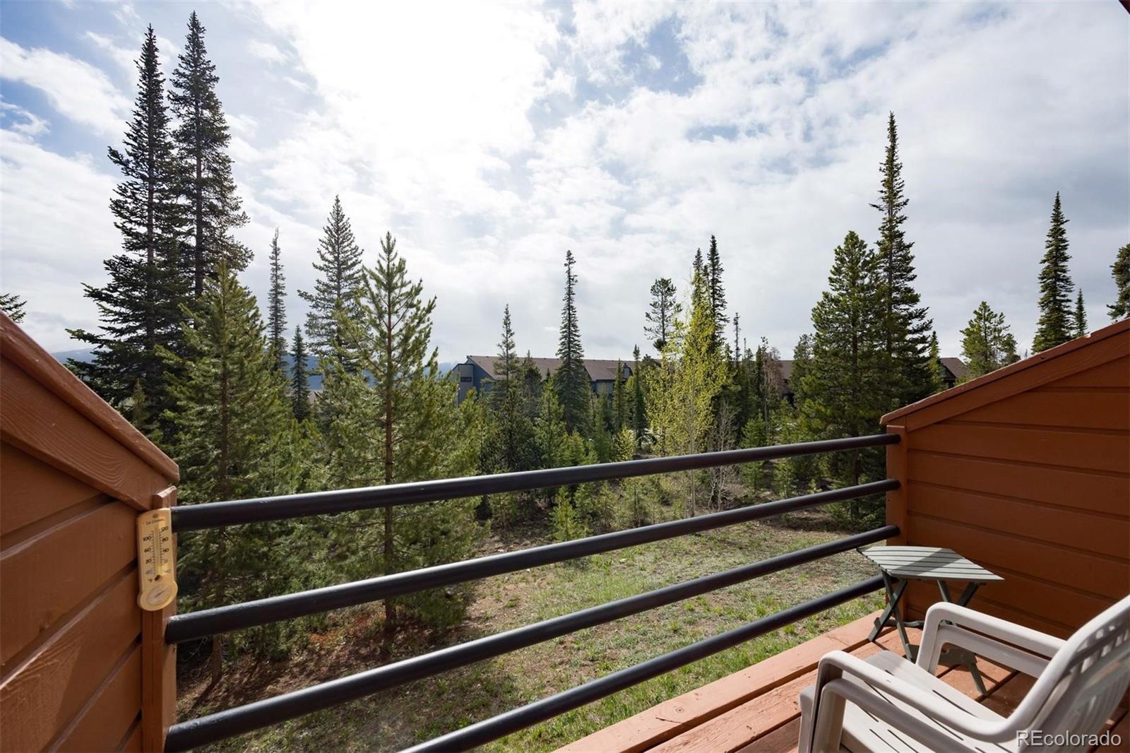 MLS Image #14 for 91100  ryan gulch road,silverthorne, Colorado