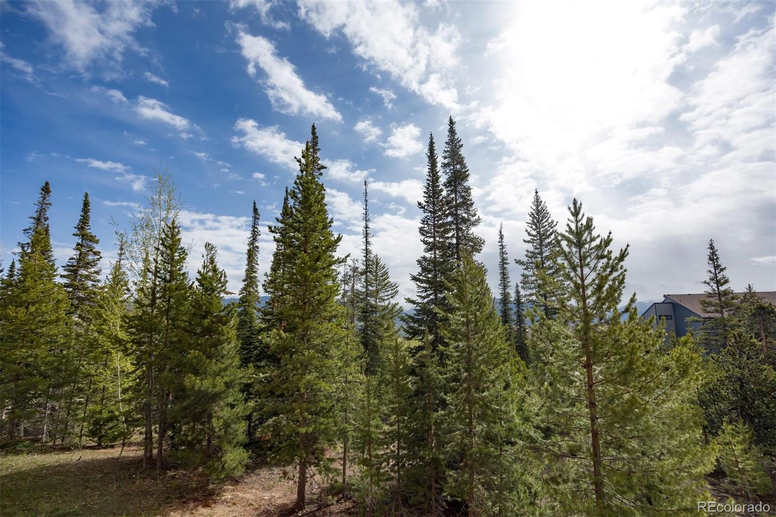 MLS Image #15 for 91100  ryan gulch road,silverthorne, Colorado