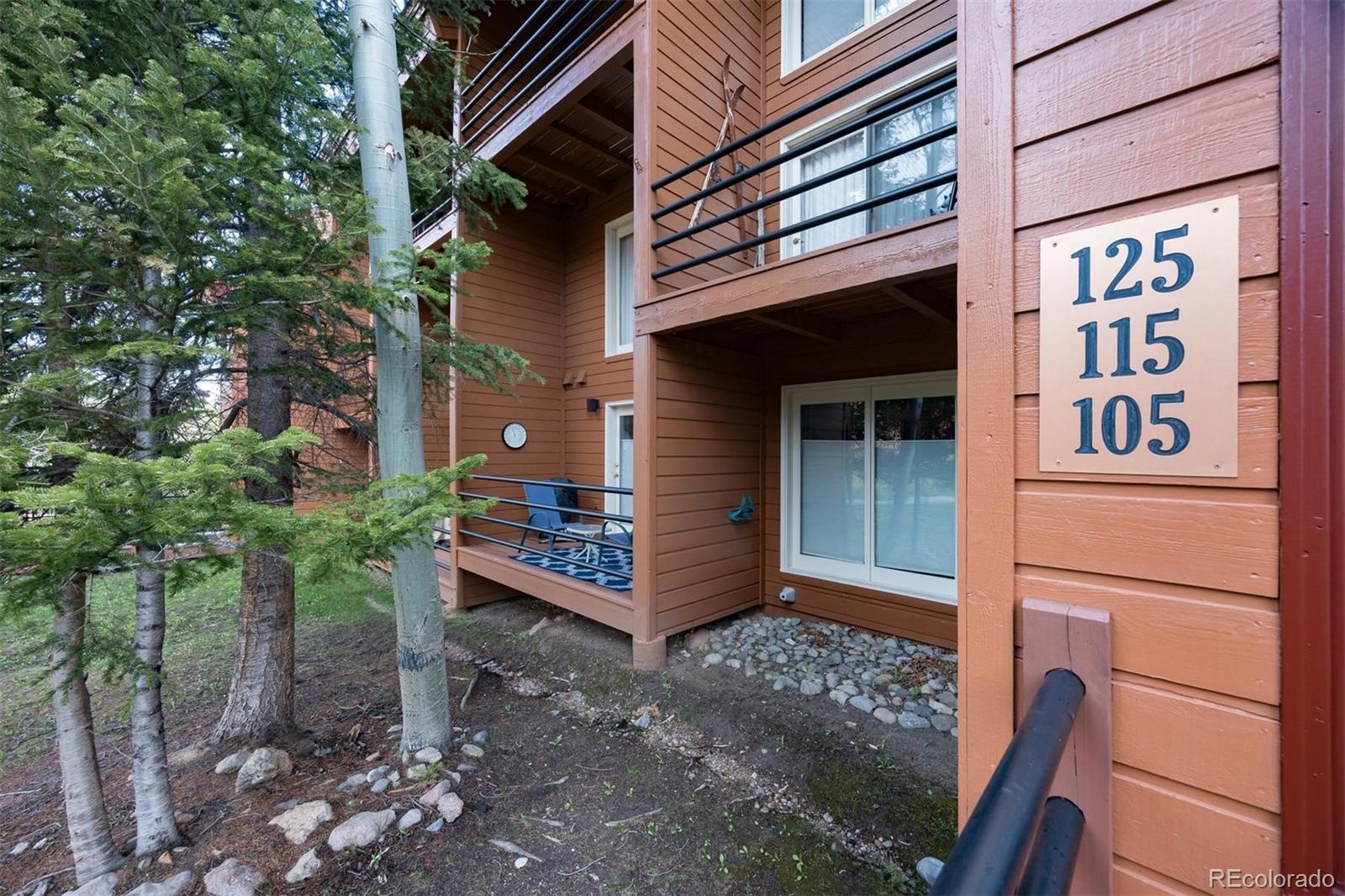 MLS Image #20 for 91100  ryan gulch road,silverthorne, Colorado
