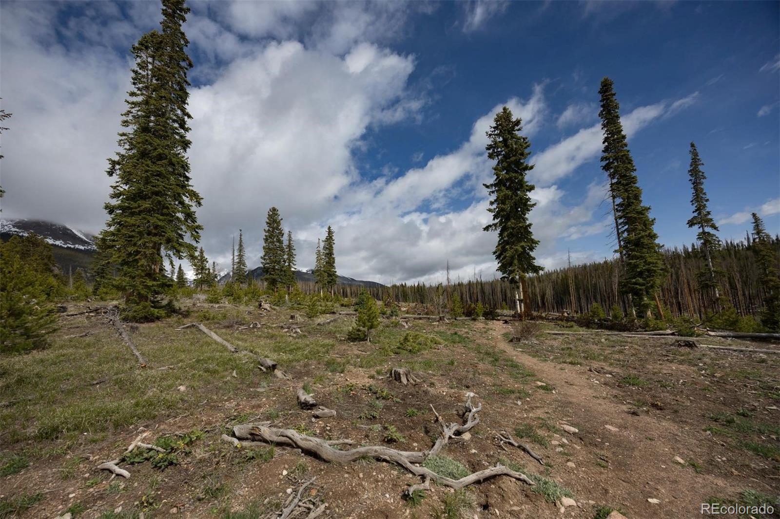 MLS Image #22 for 91100  ryan gulch road,silverthorne, Colorado