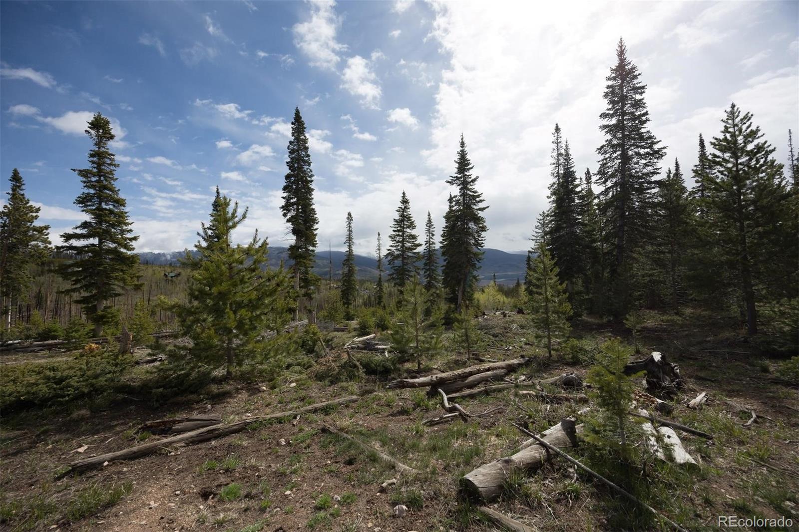 MLS Image #23 for 91100  ryan gulch road,silverthorne, Colorado