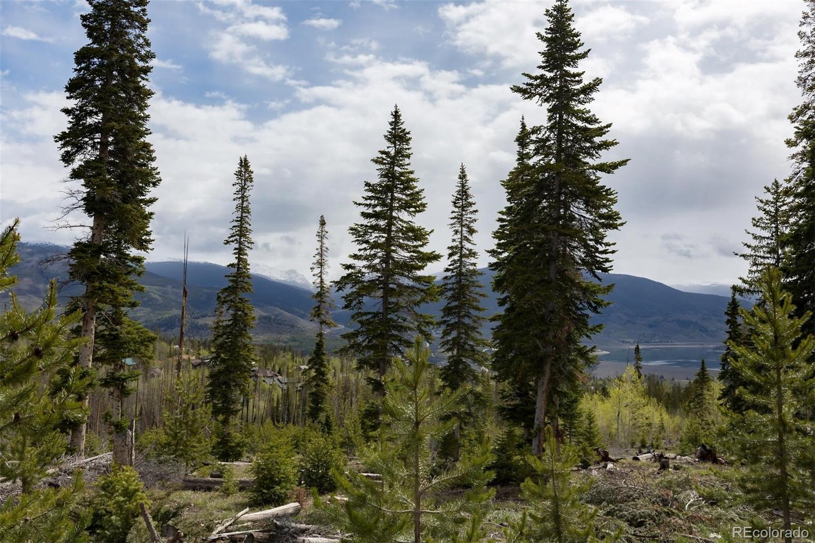 MLS Image #24 for 91100  ryan gulch road,silverthorne, Colorado