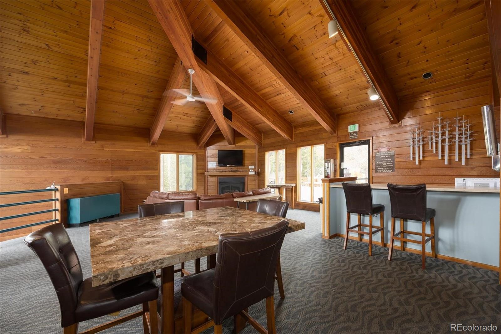 MLS Image #45 for 91100  ryan gulch road,silverthorne, Colorado