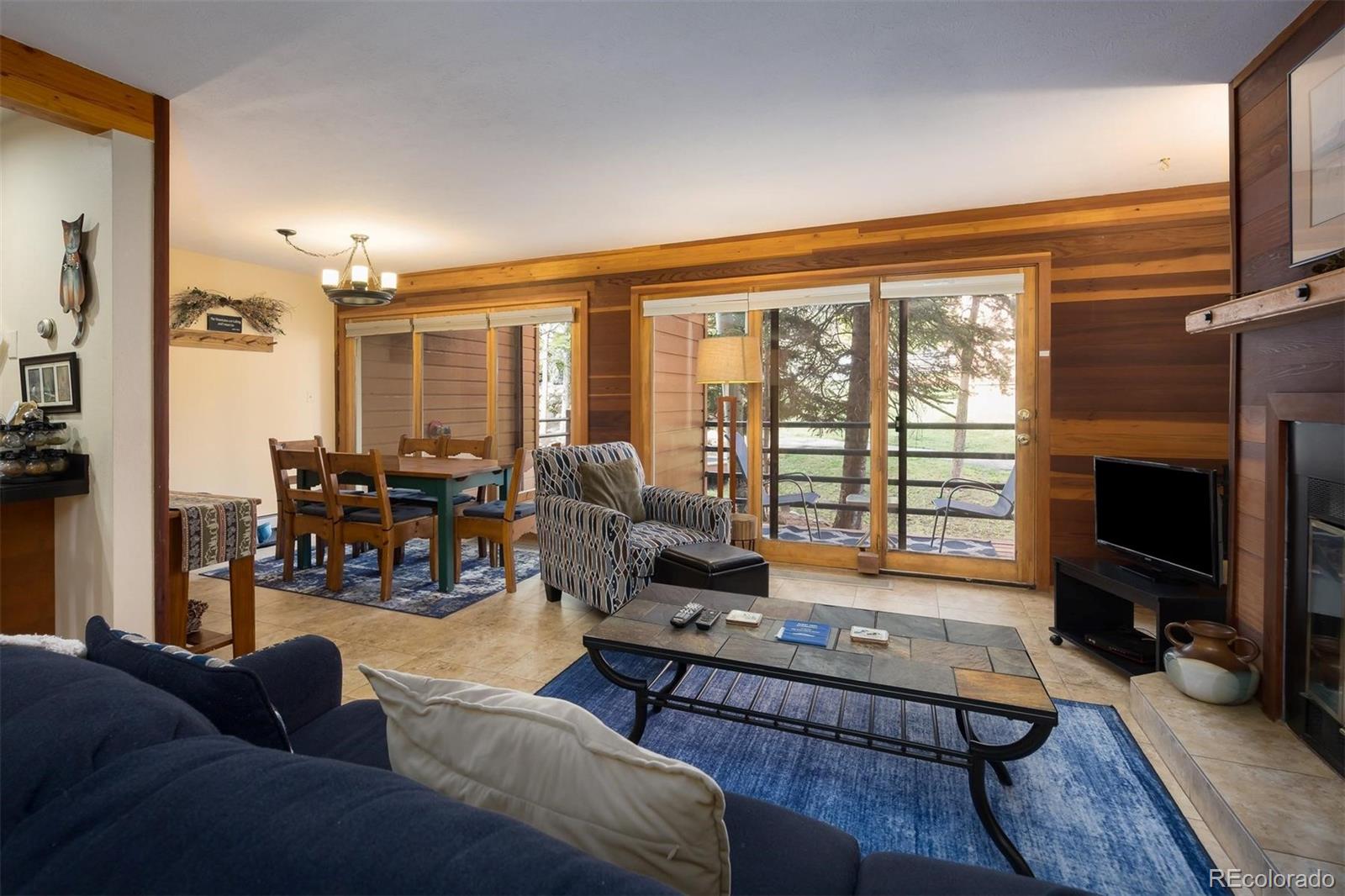 MLS Image #5 for 91100  ryan gulch road,silverthorne, Colorado