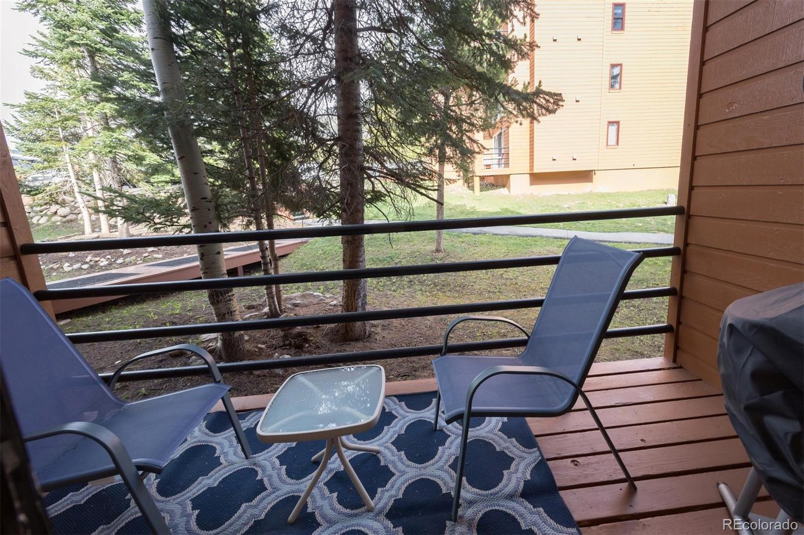 MLS Image #8 for 91100  ryan gulch road,silverthorne, Colorado