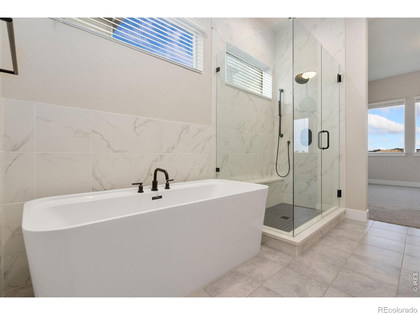MLS Image #19 for 1232  kitchel lake parkway,timnath, Colorado