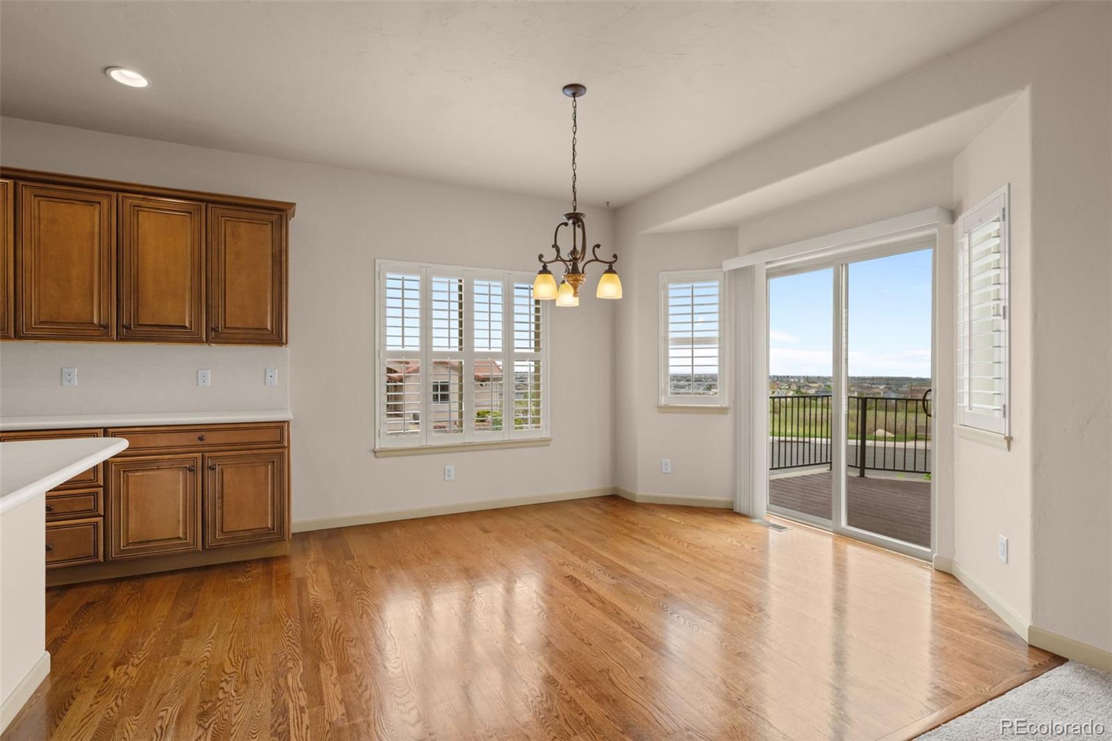 MLS Image #16 for 4331  las lunas court,castle rock, Colorado