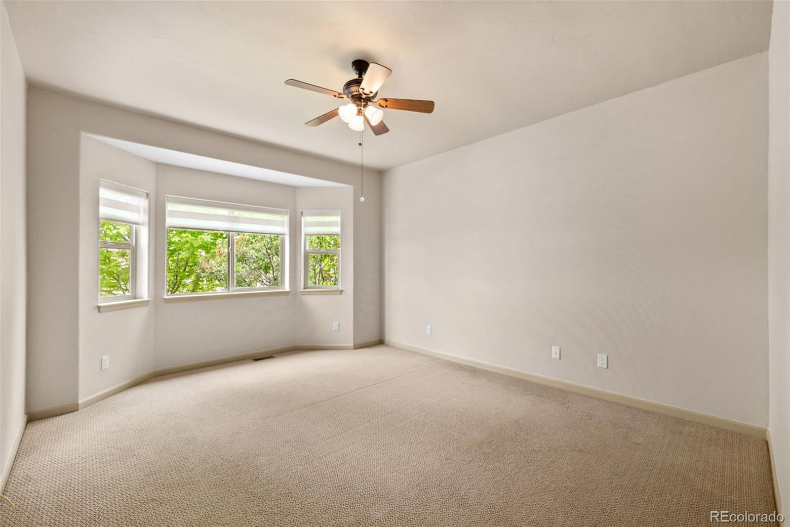 MLS Image #23 for 4331  las lunas court,castle rock, Colorado