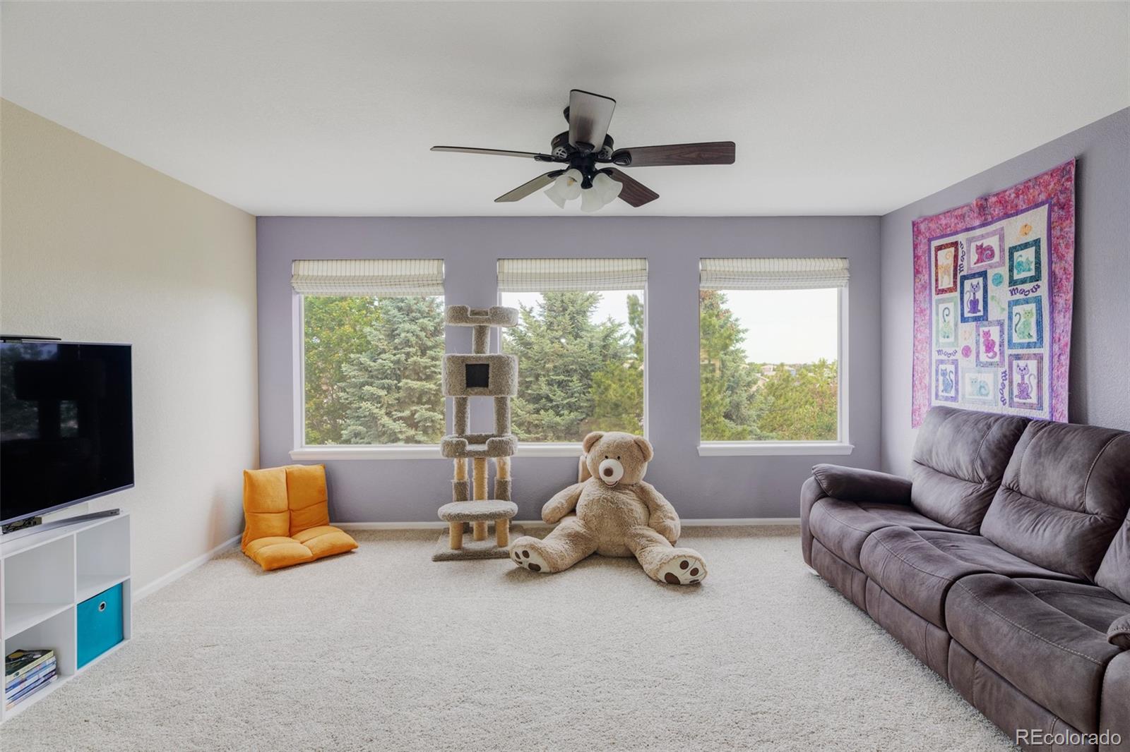 MLS Image #15 for 10231  rustic redwood lane,highlands ranch, Colorado