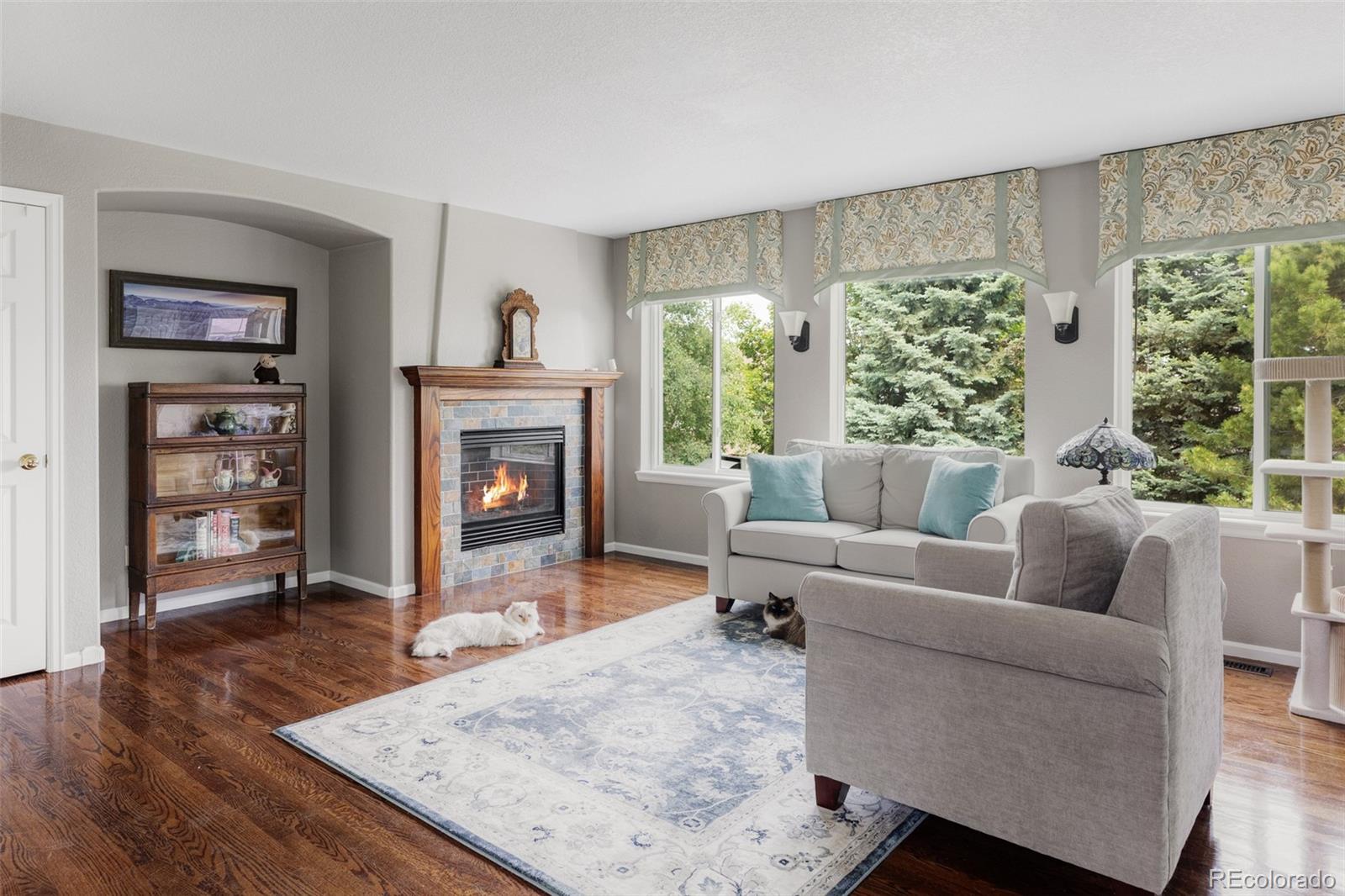 MLS Image #6 for 10231  rustic redwood lane,highlands ranch, Colorado