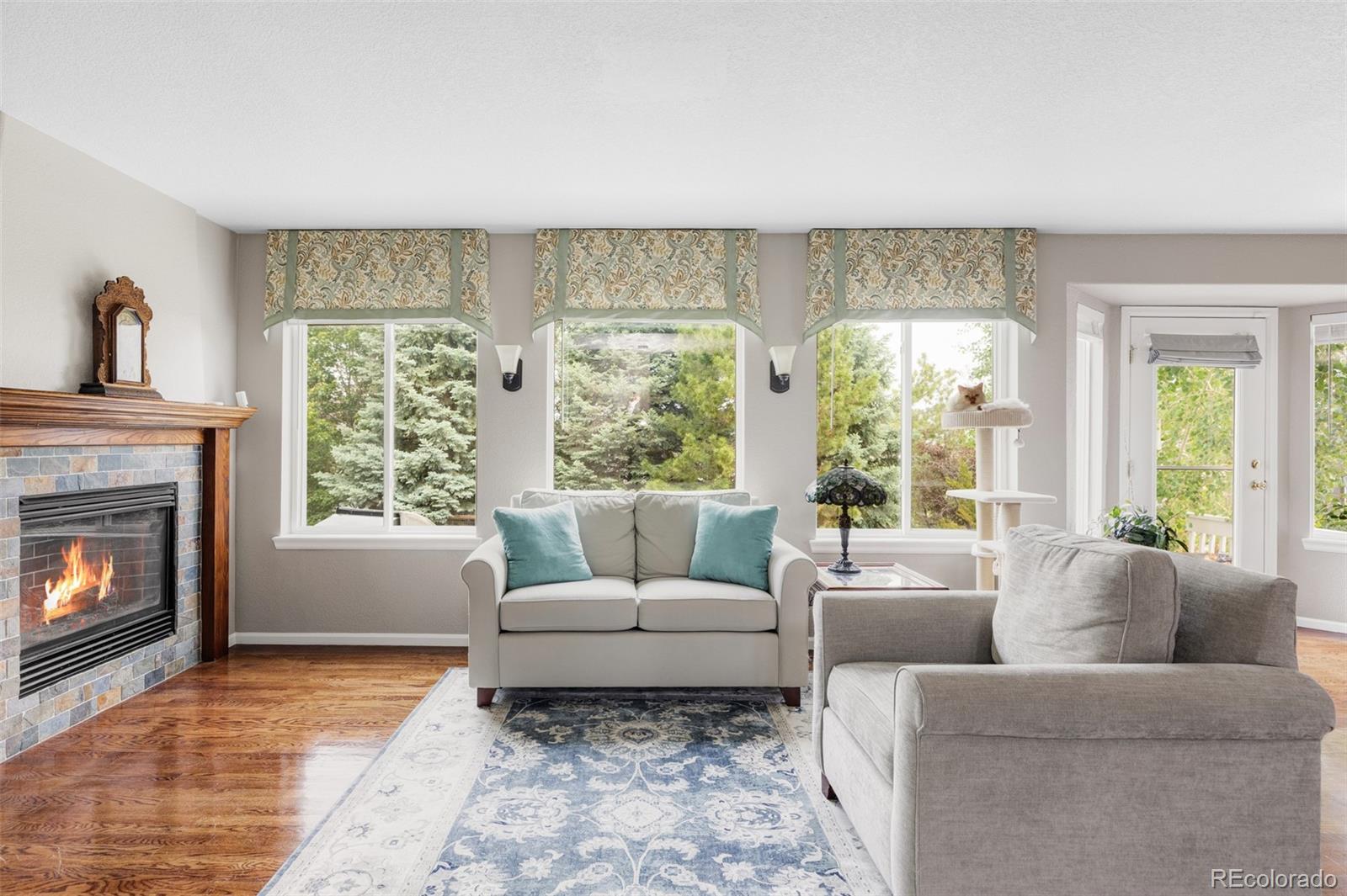 MLS Image #7 for 10231  rustic redwood lane,highlands ranch, Colorado