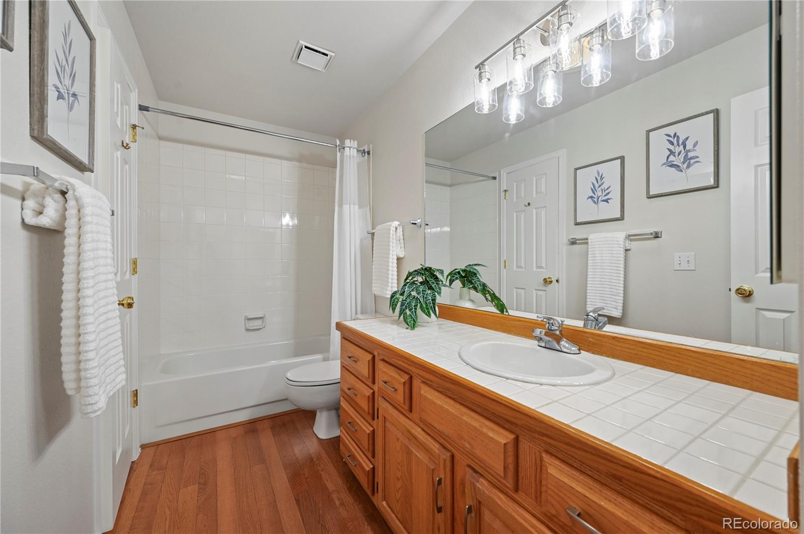 MLS Image #29 for 3139  soaring bird circle,colorado springs, Colorado