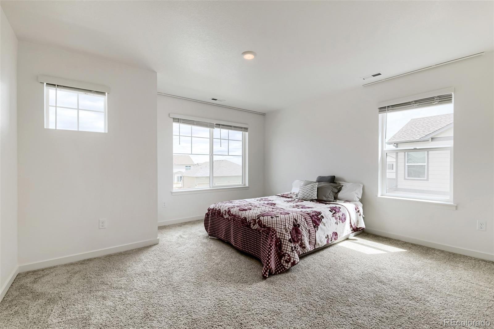 MLS Image #18 for 4756  windmill drive,brighton, Colorado