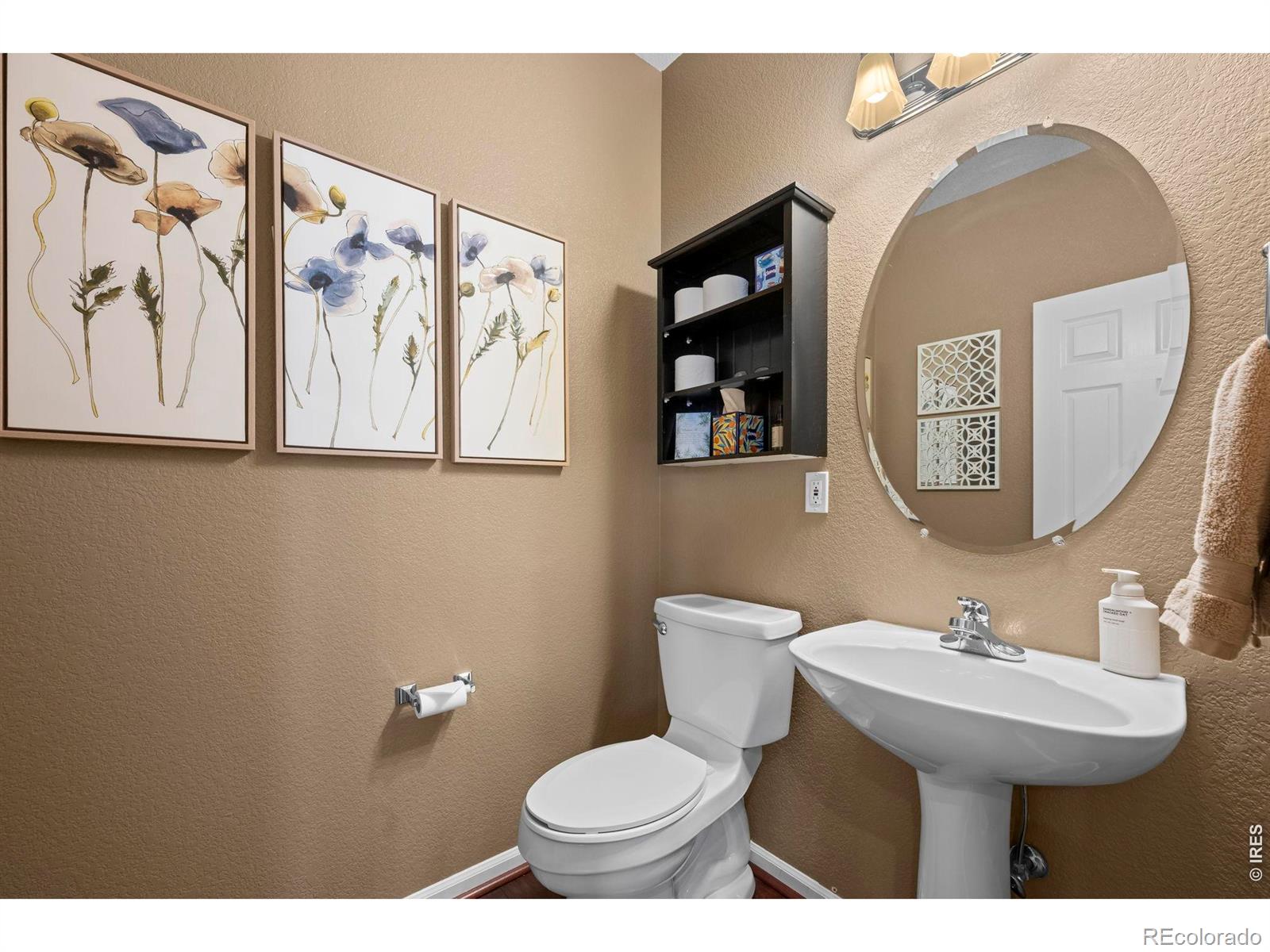 MLS Image #11 for 3232  green haven circle,highlands ranch, Colorado
