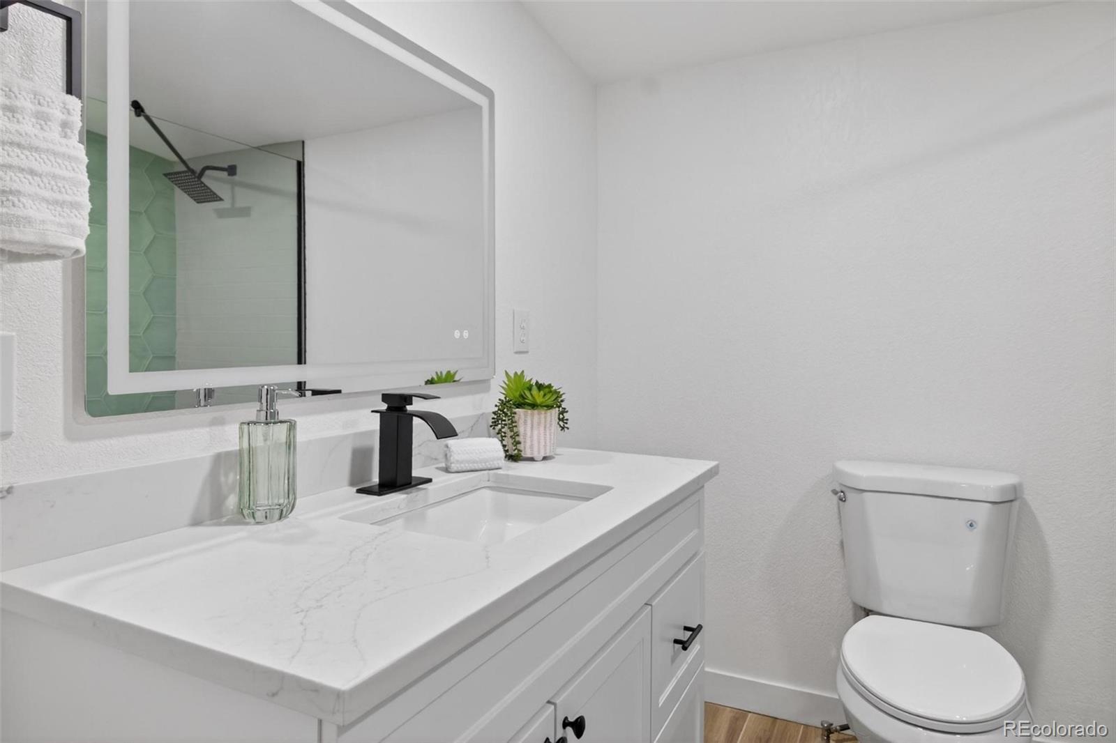 MLS Image #32 for 2096 s lowell boulevard,denver, Colorado